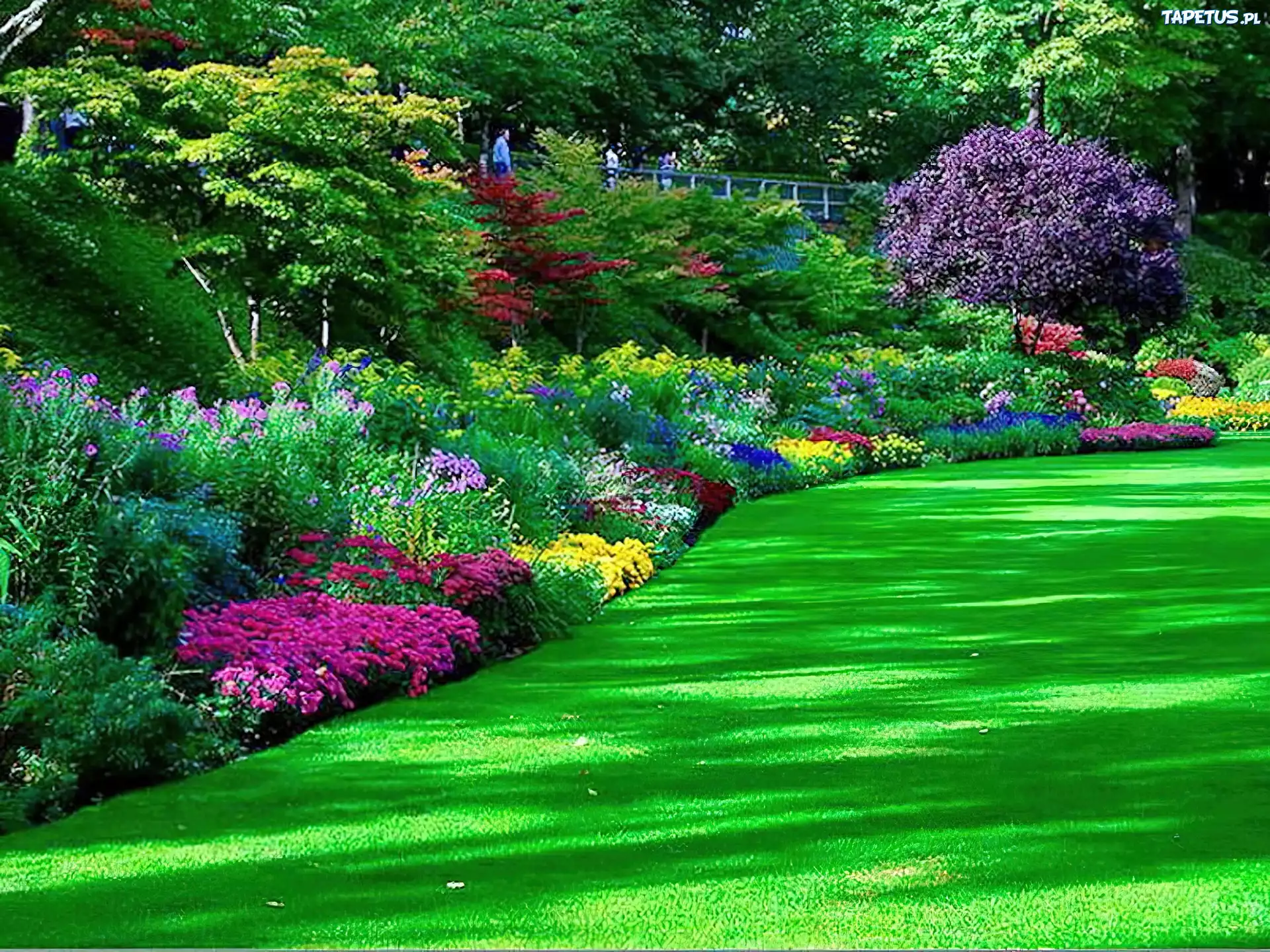 Park, Trawa, Kwiaty