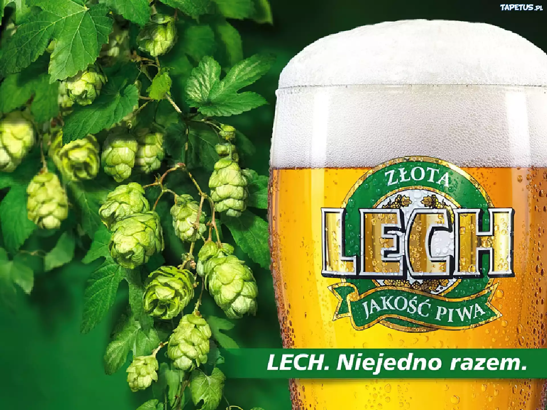 Piwo, Lech