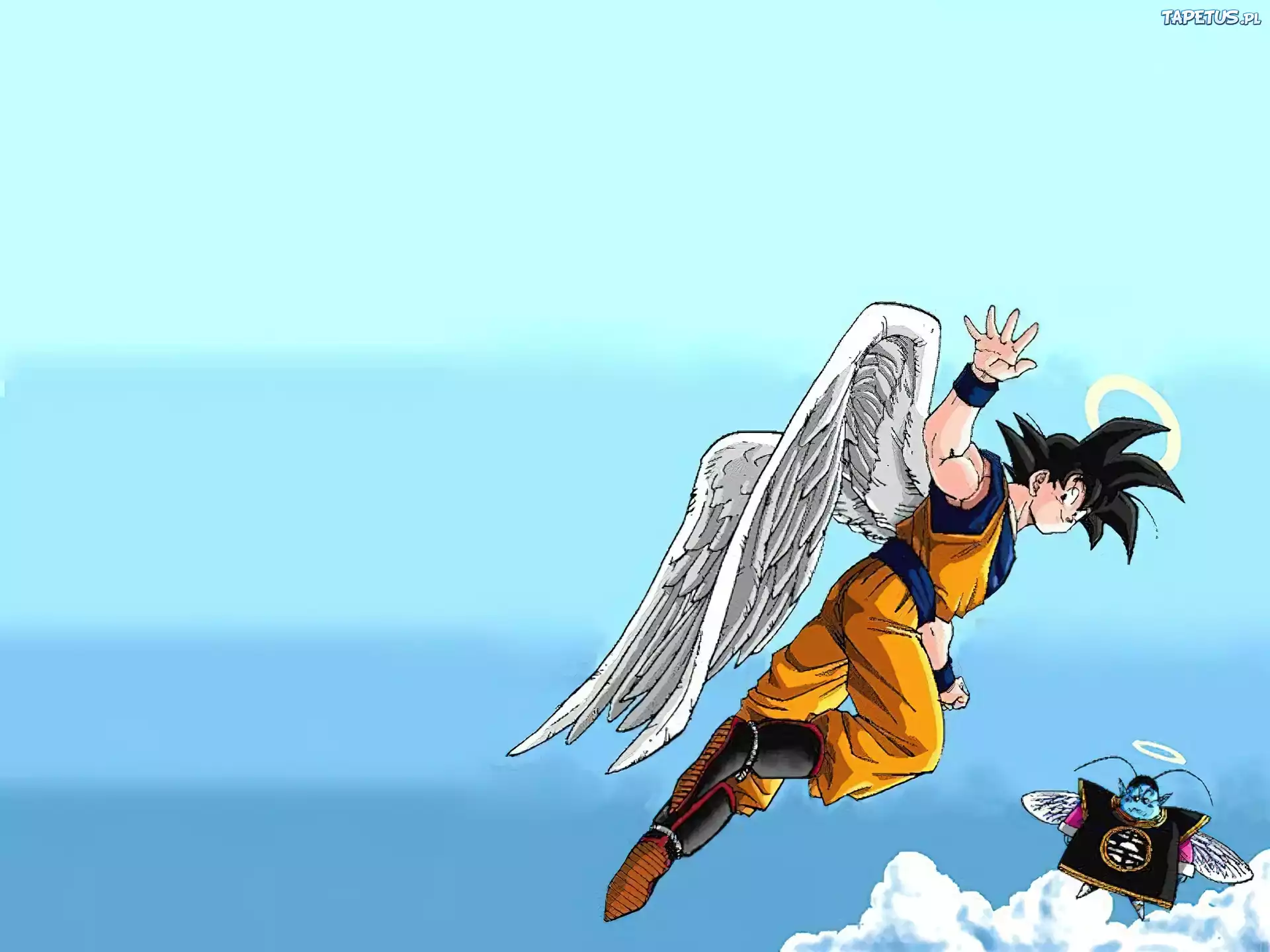 Anioł, Goku, Niebo