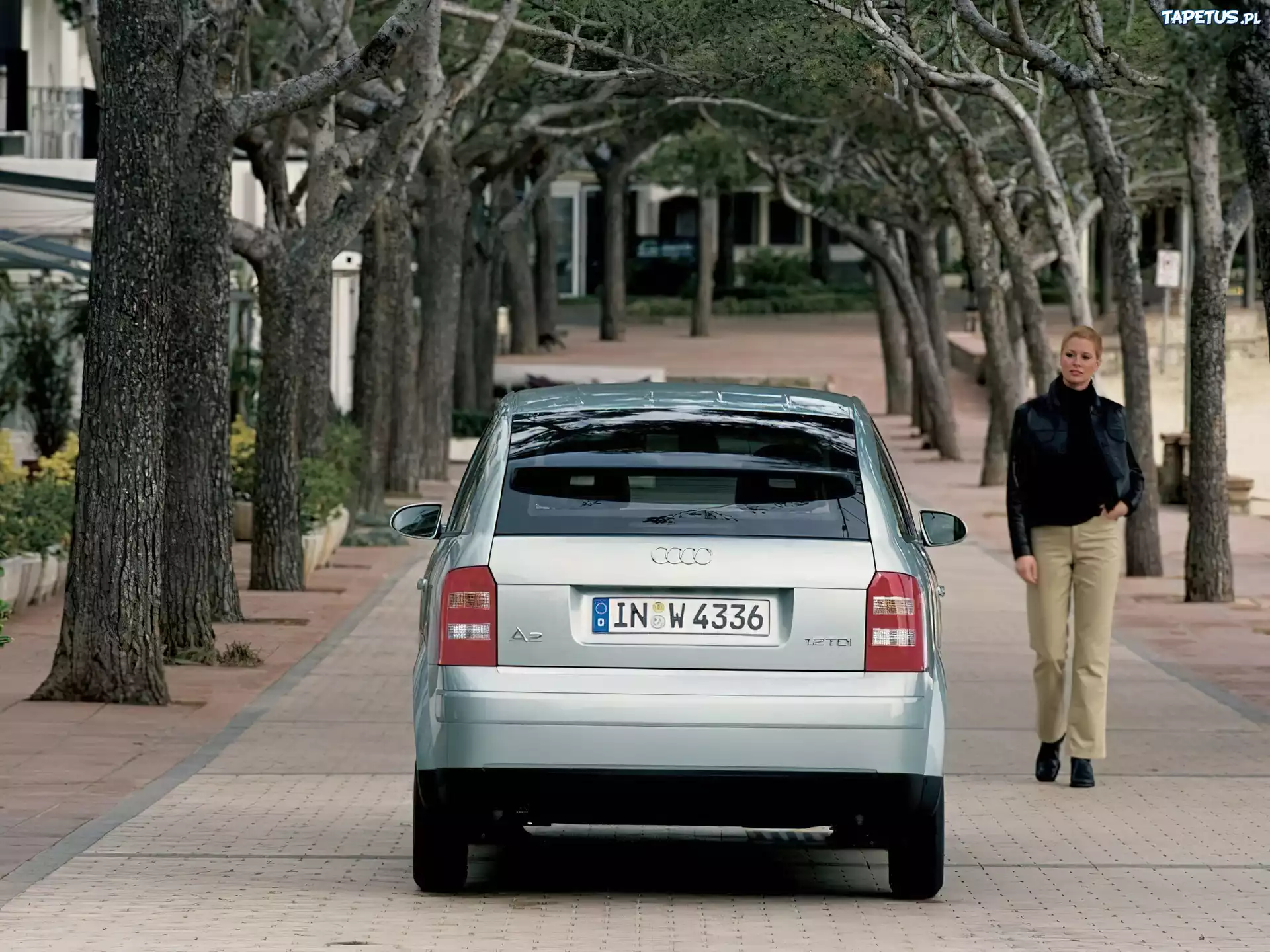 Audi A2, Drzewa