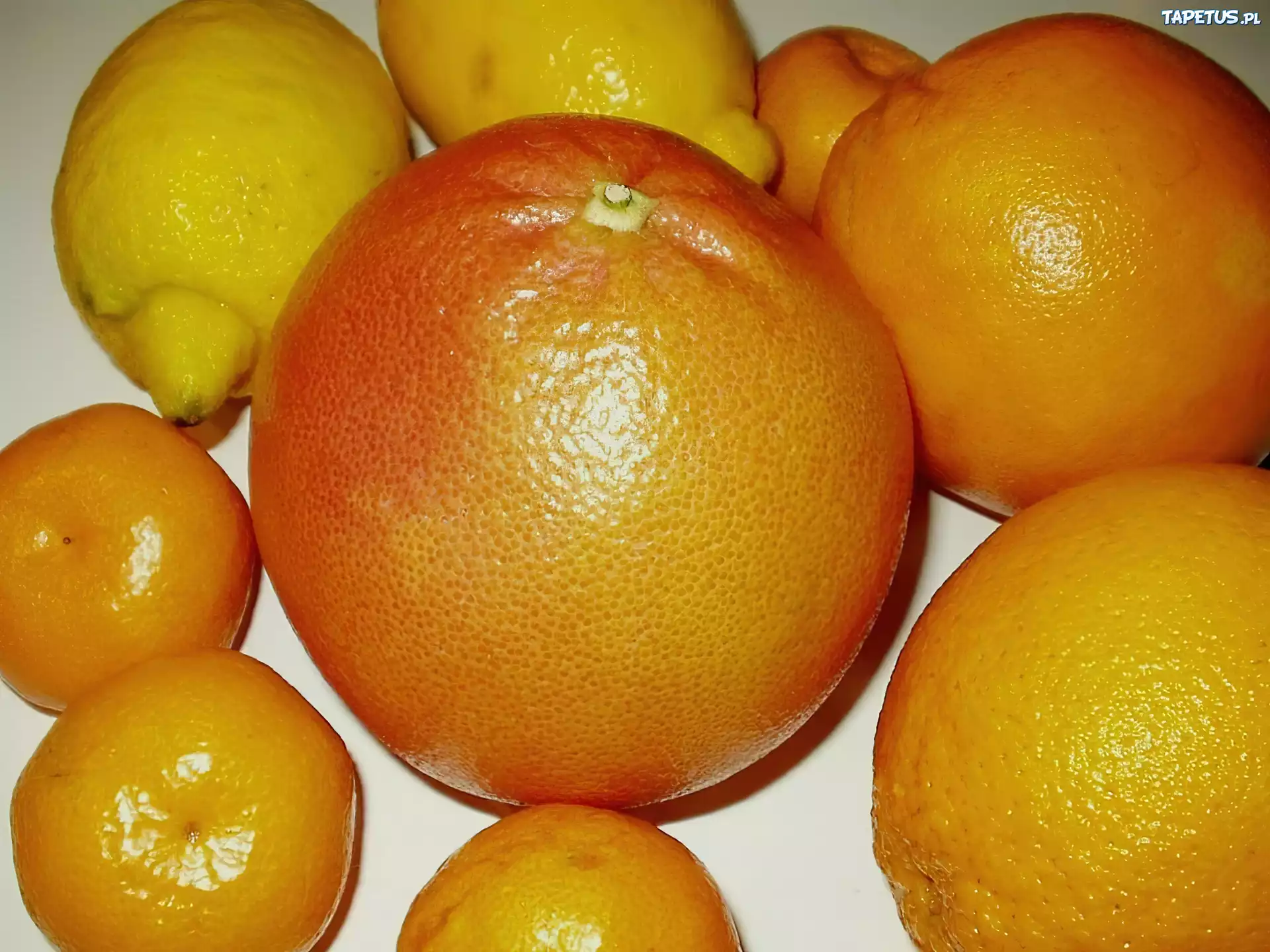 Cytrusy, Pomarańcze, Grapefruit, Mandarynki, Cytryny