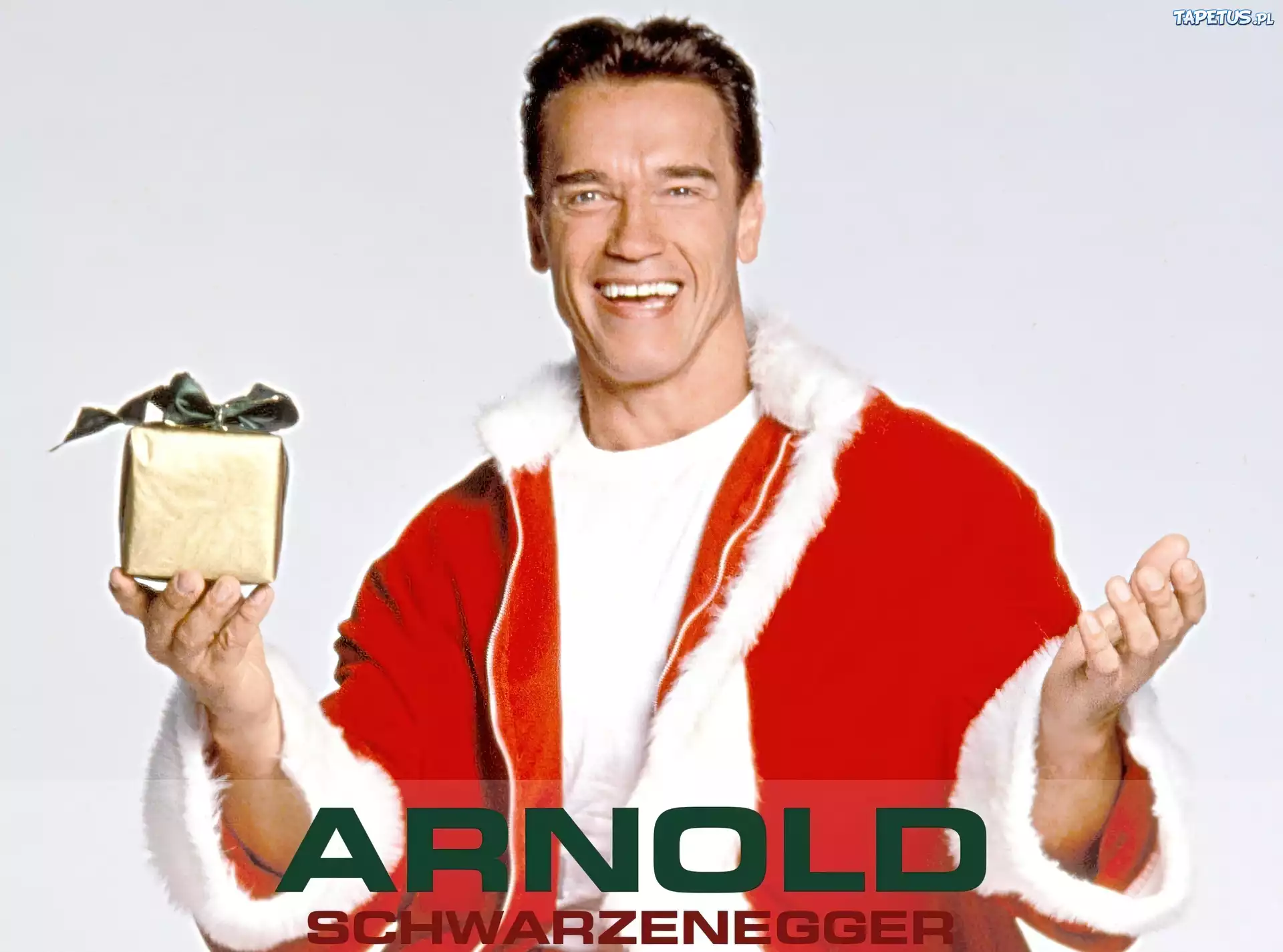 Arnold Schwarzenegger, Prezent