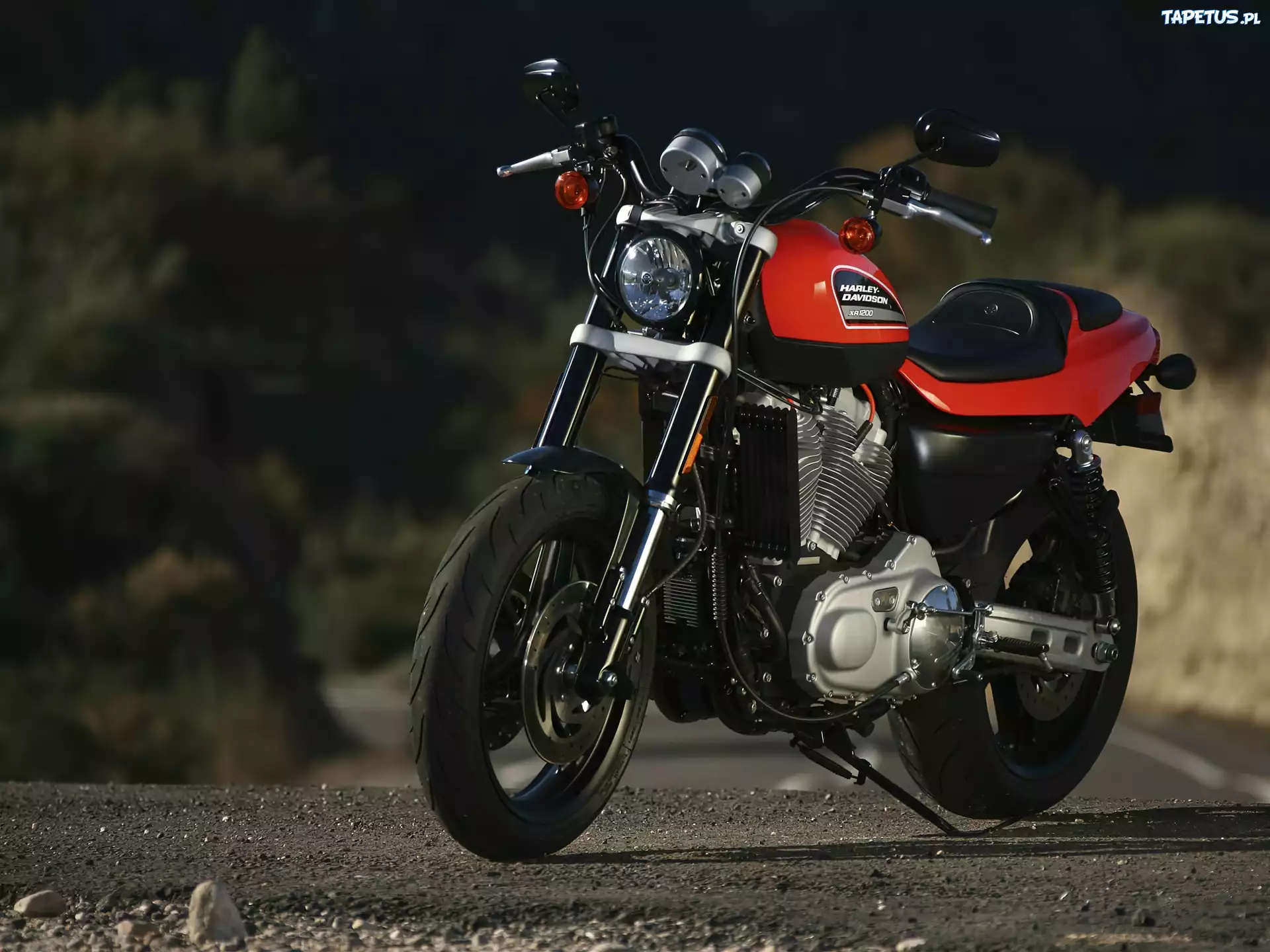 Harley Davidson XR1200