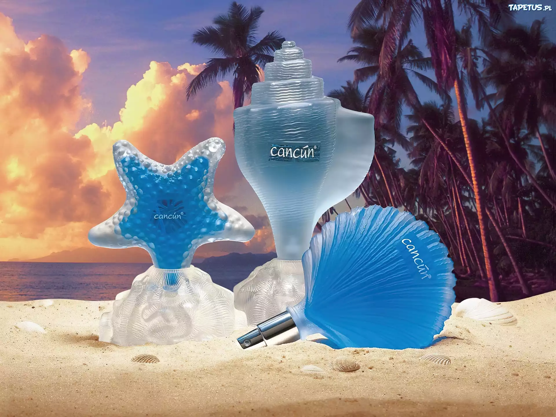 Cancun, Muszle
