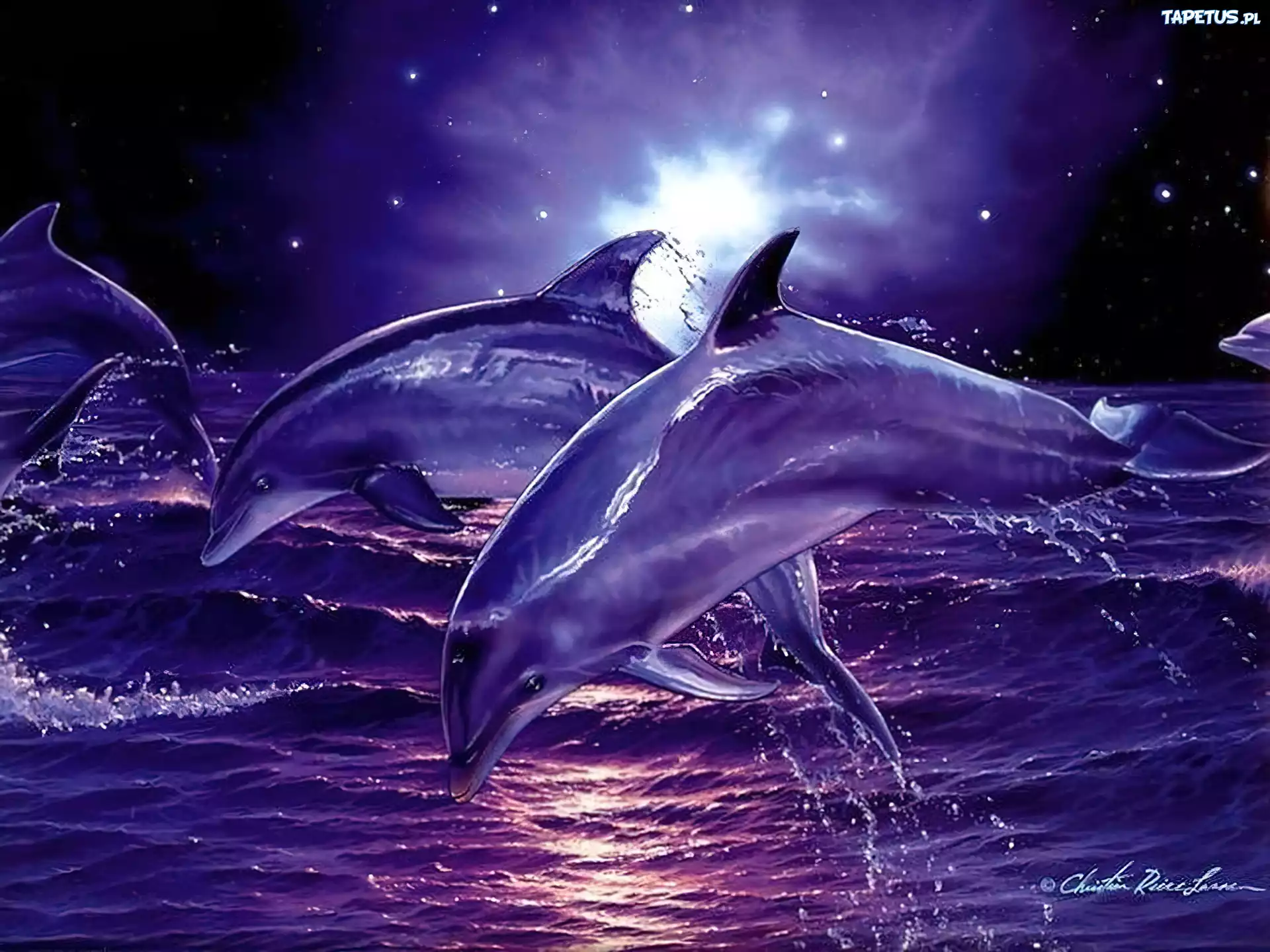 Delfiny, Morze, Fale