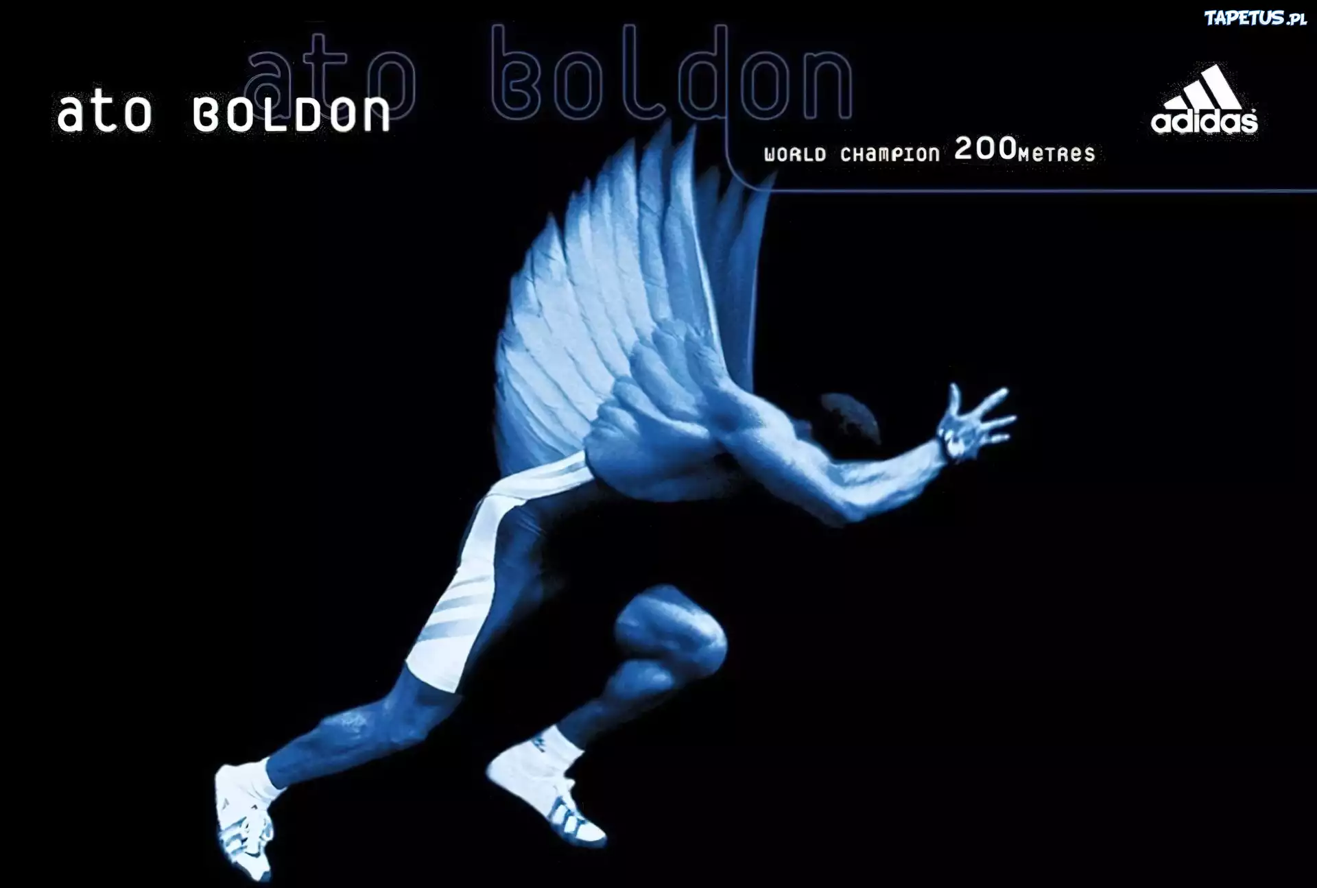 Logo, Adidas, Biegacz