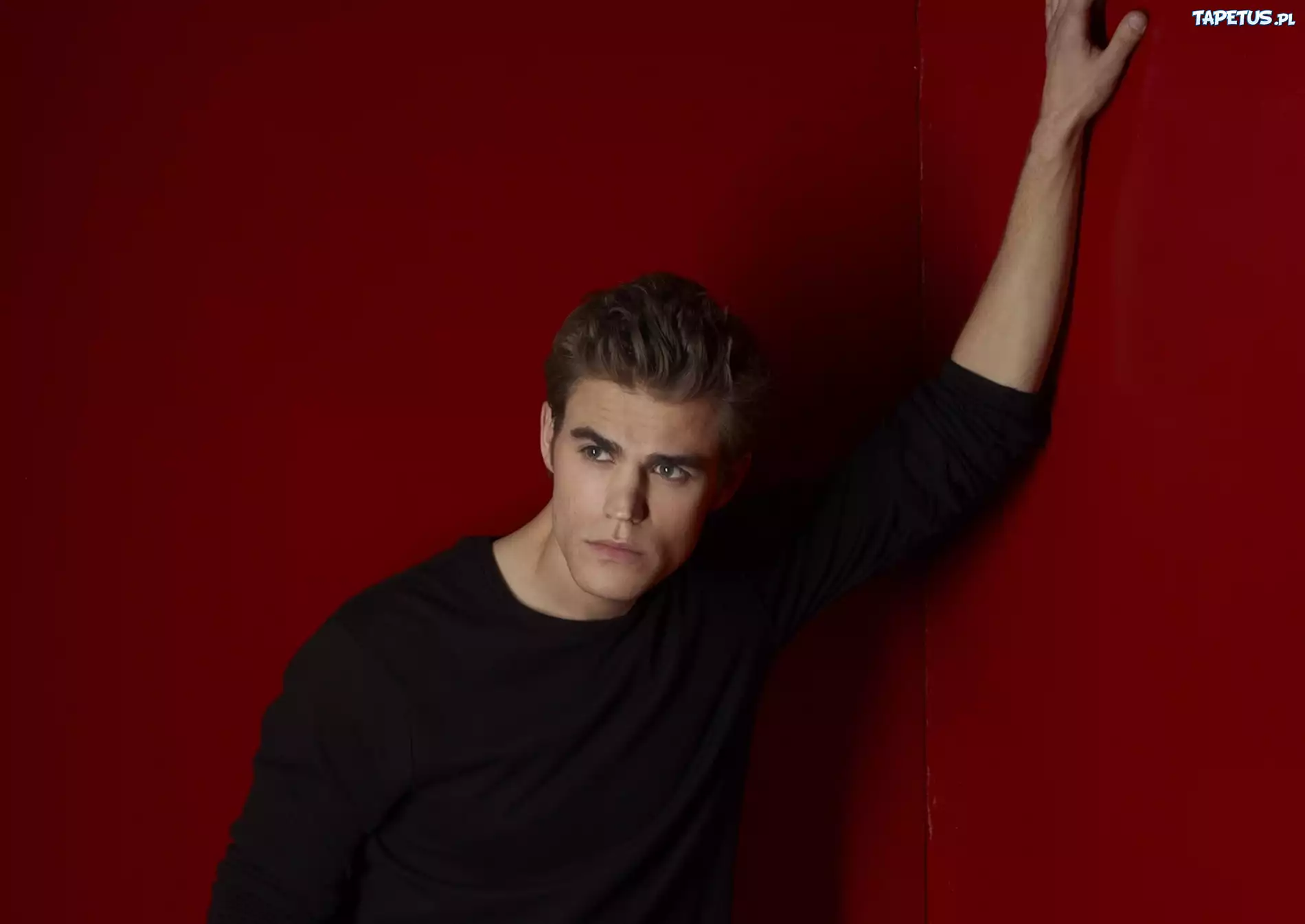 Paul Wesley, Stefan Salvatore