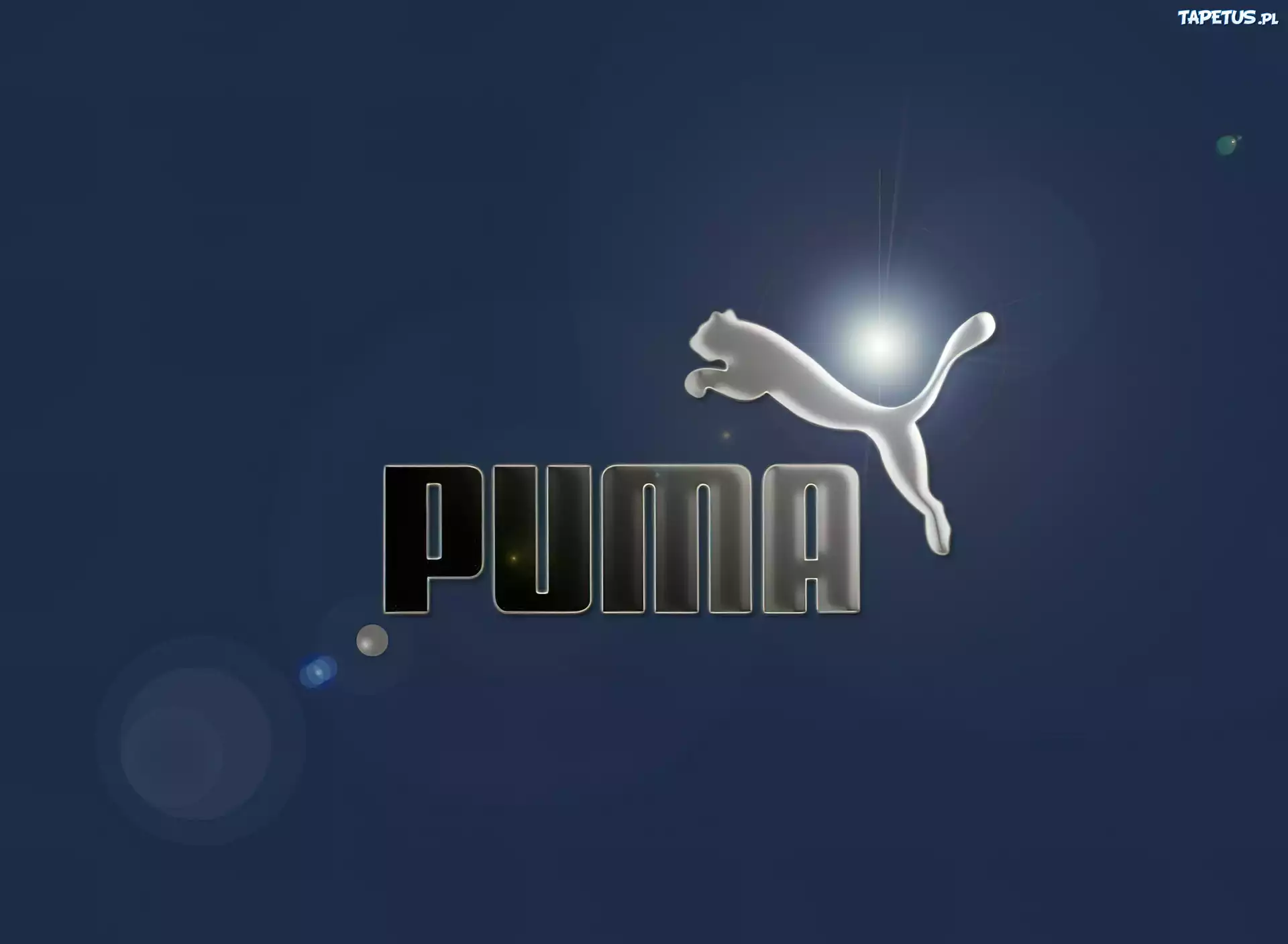 Nazwa, Puma, Logo, Niebieskie, Tło