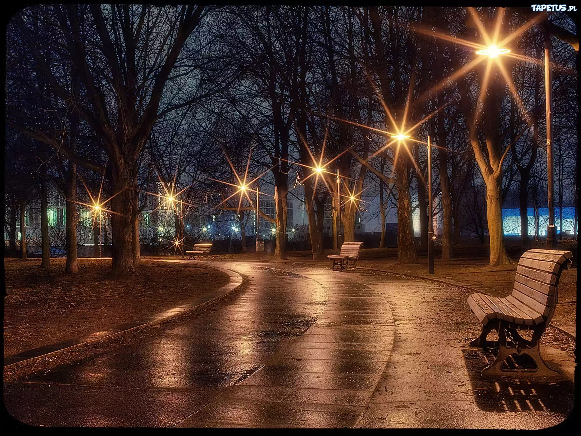 Jesień, Park, Ławka