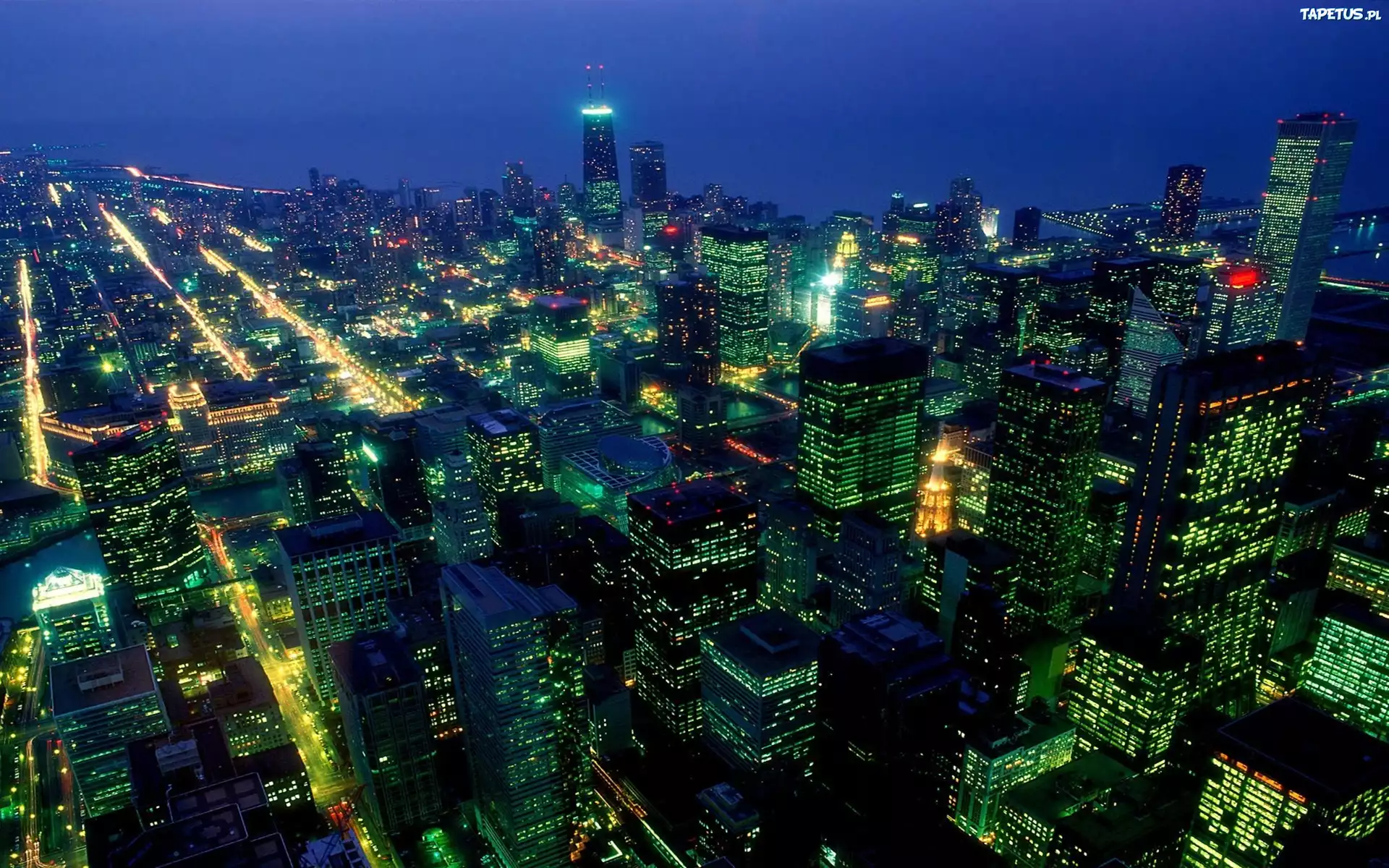 Chicago, Lot, Ptaka