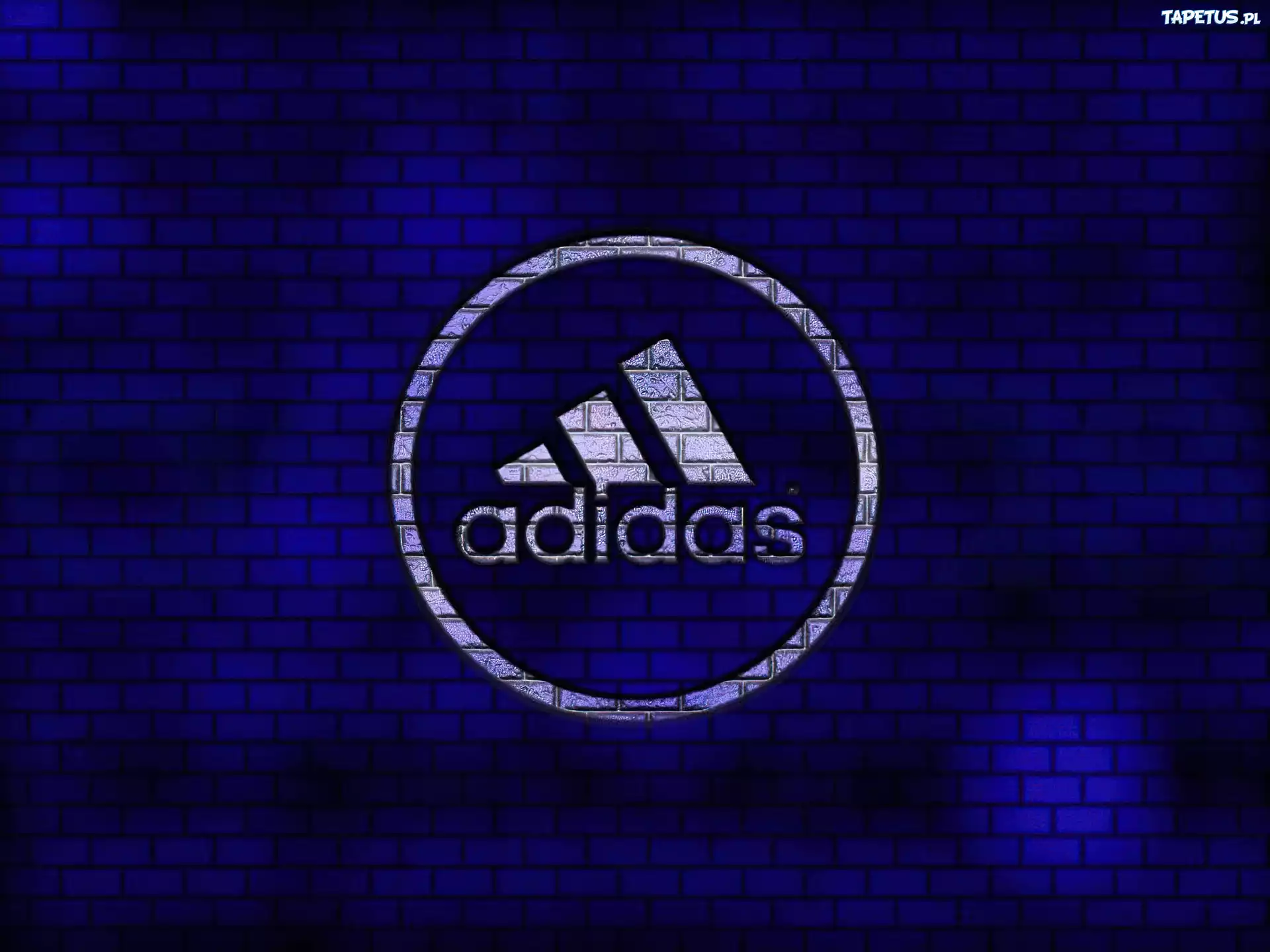 Adidas, Niebieskie, Tło