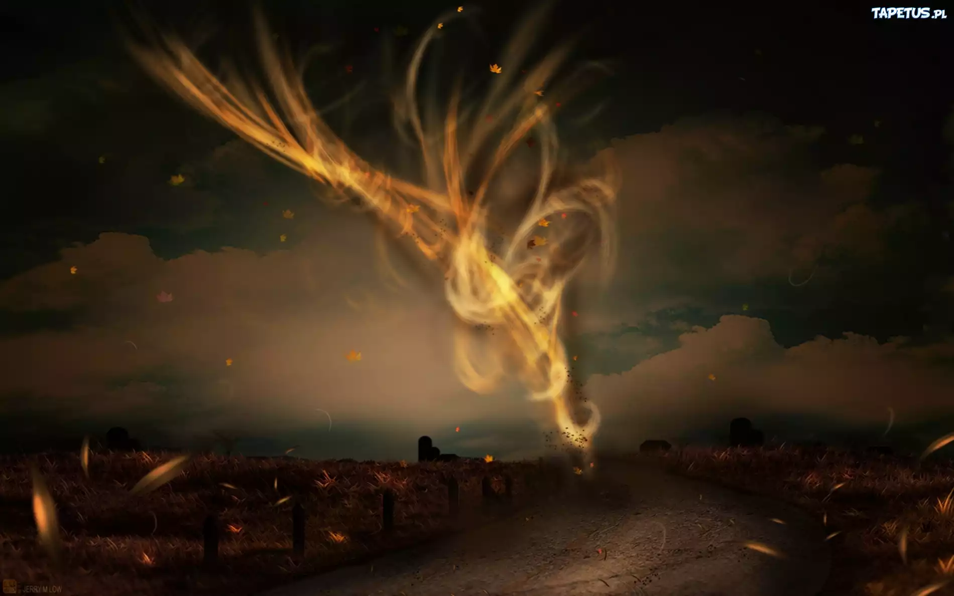 Pola, Droga, Tornado
