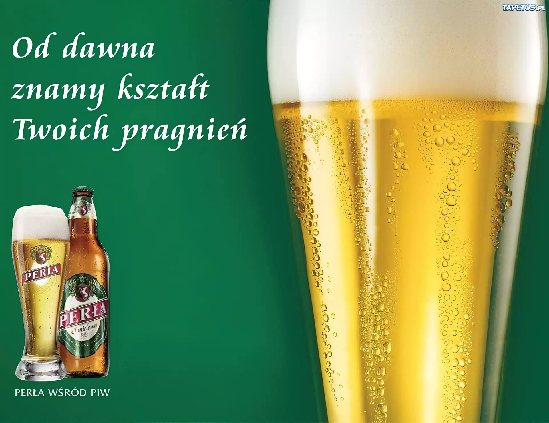 Kufel, Piwo, Perła