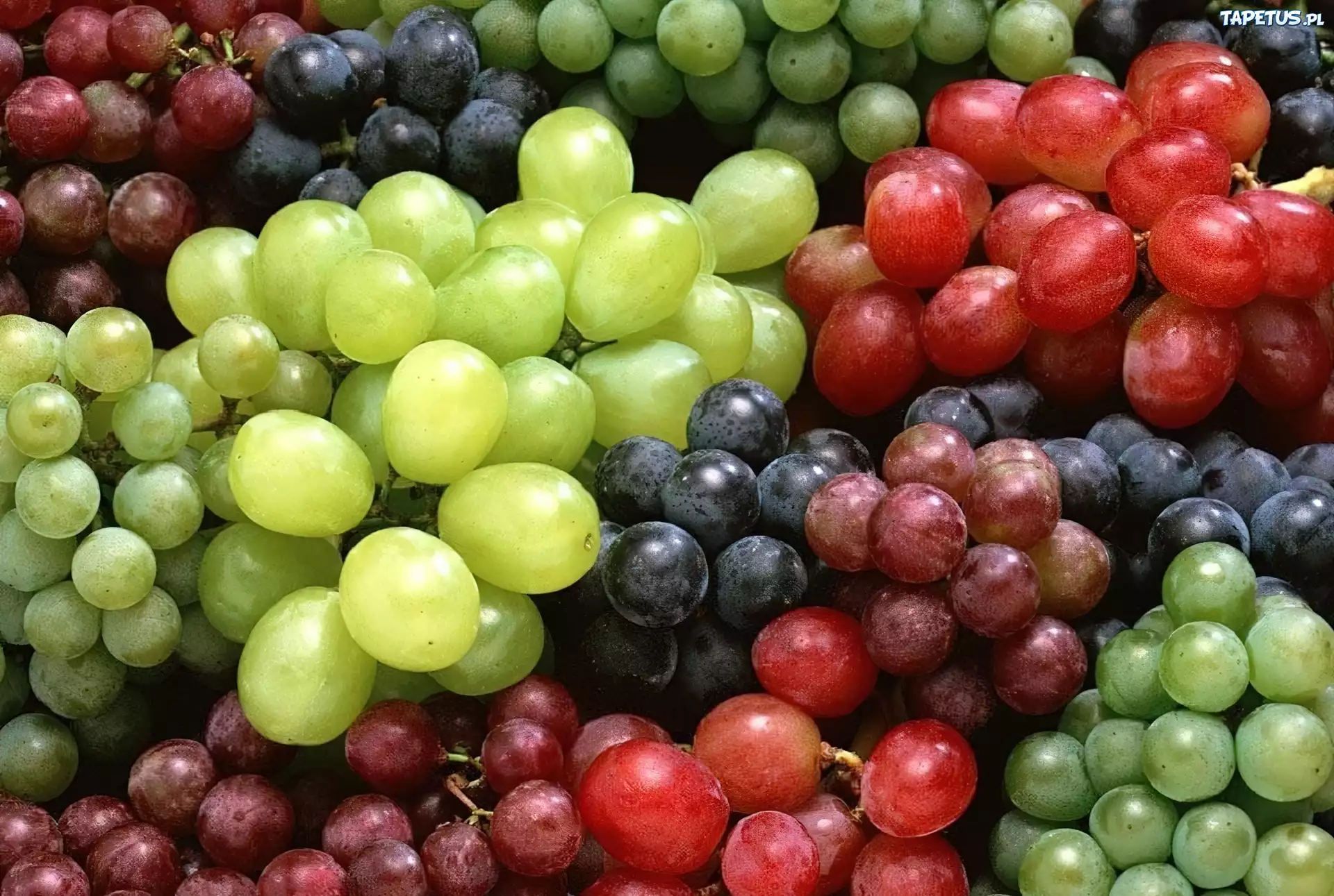 Różne, Odmiany, Winogron