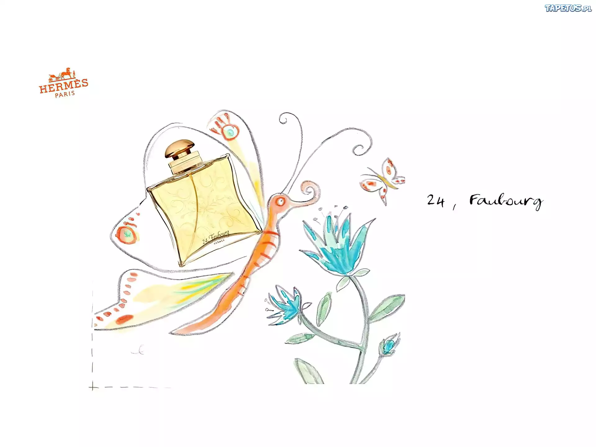 Hermes, rysunek, motyl, kwiat, perfumy, flakon