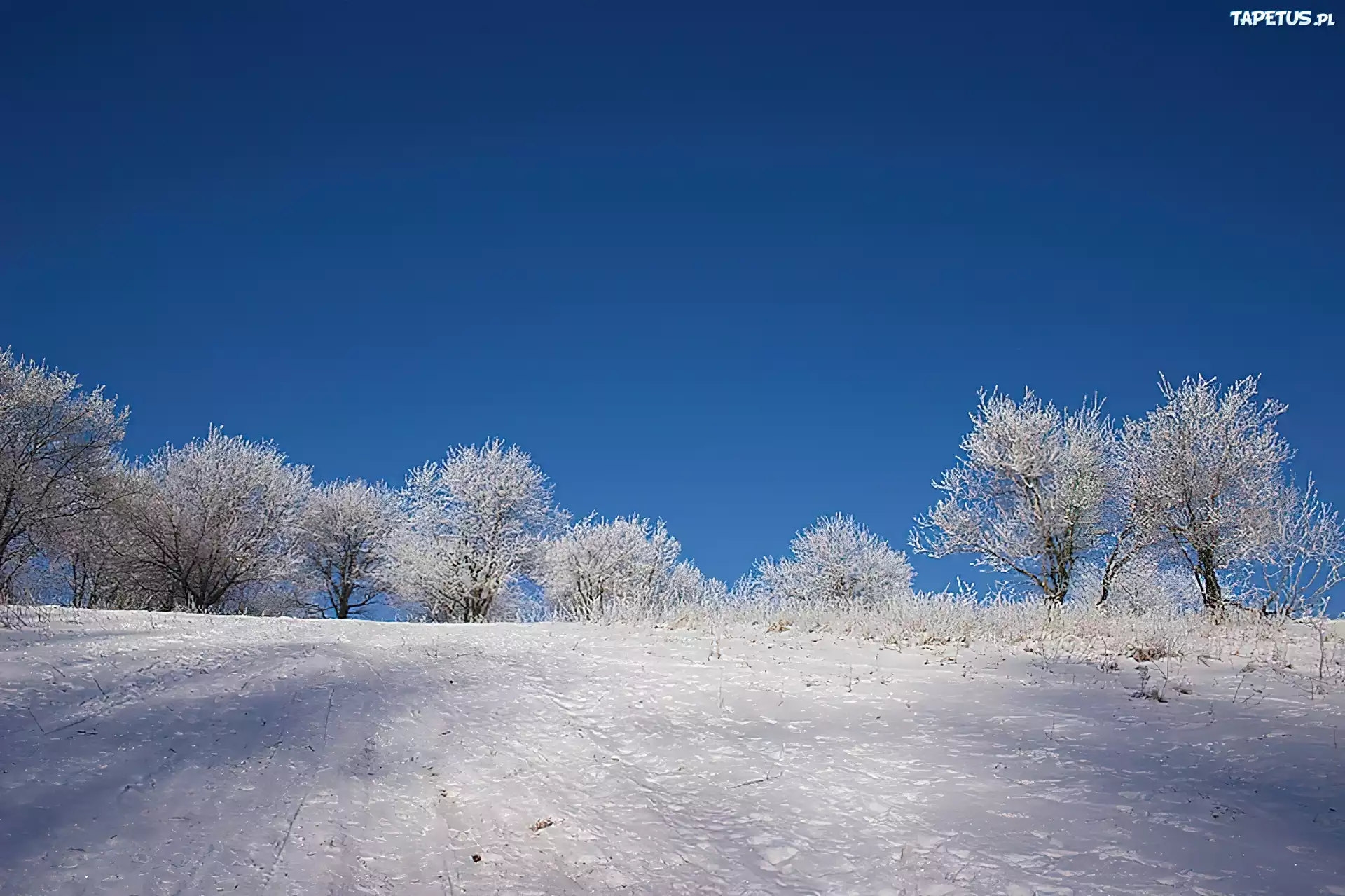 Zima, Pokrywa, Śnieżna