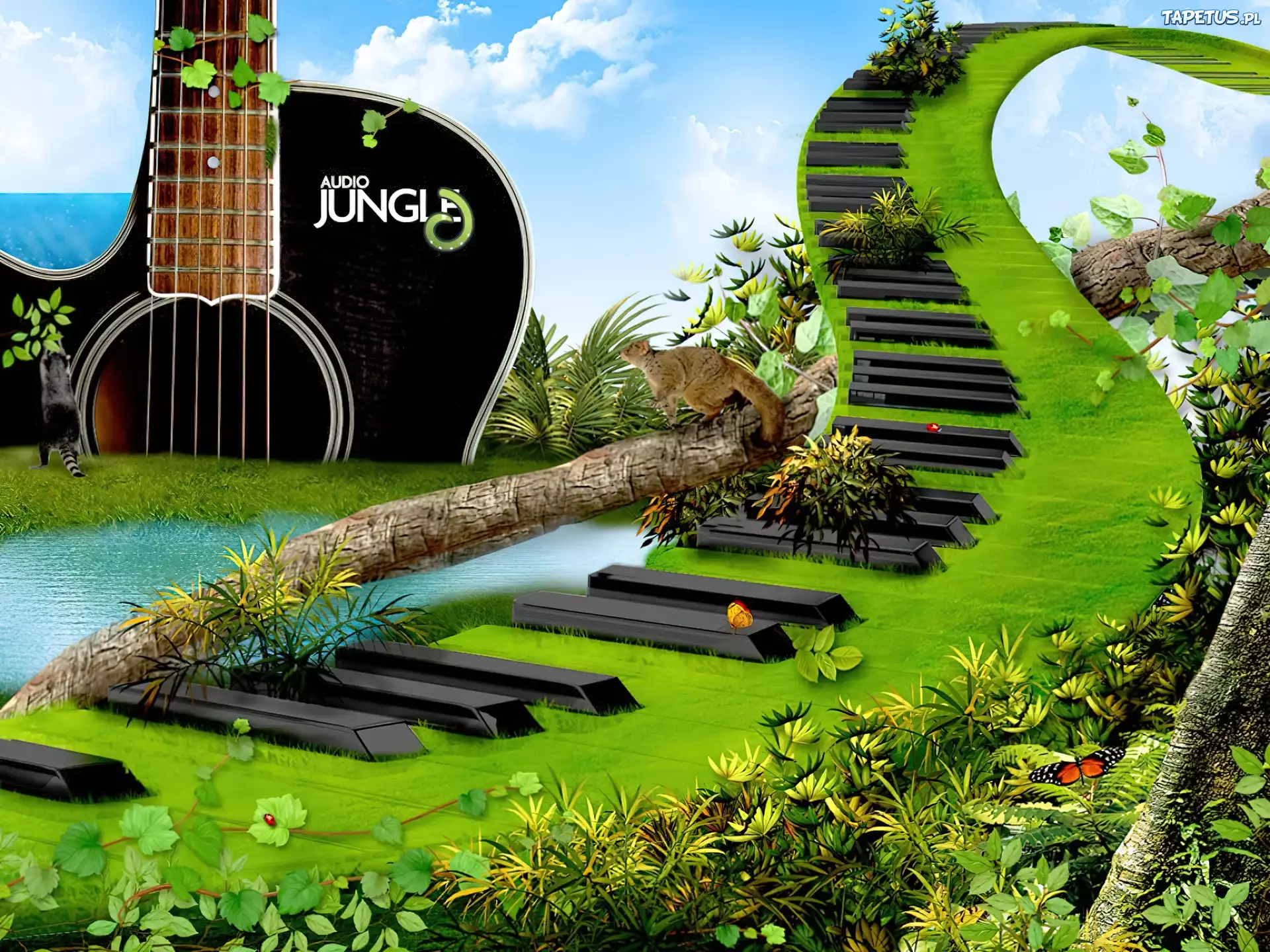 Dżungla, Gitara, Klawisze