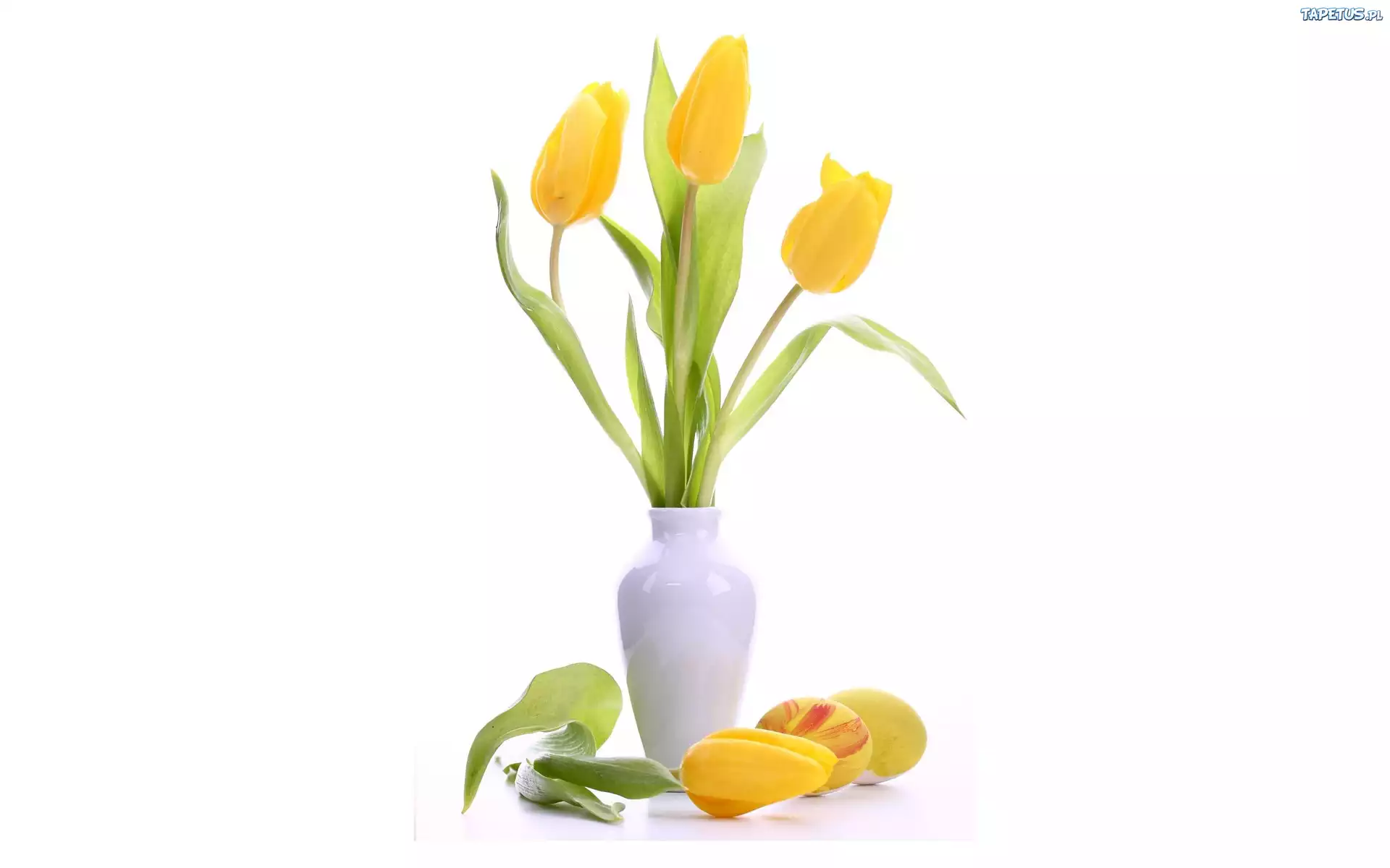 Żółte, Tulipany, Biały, Wazonik