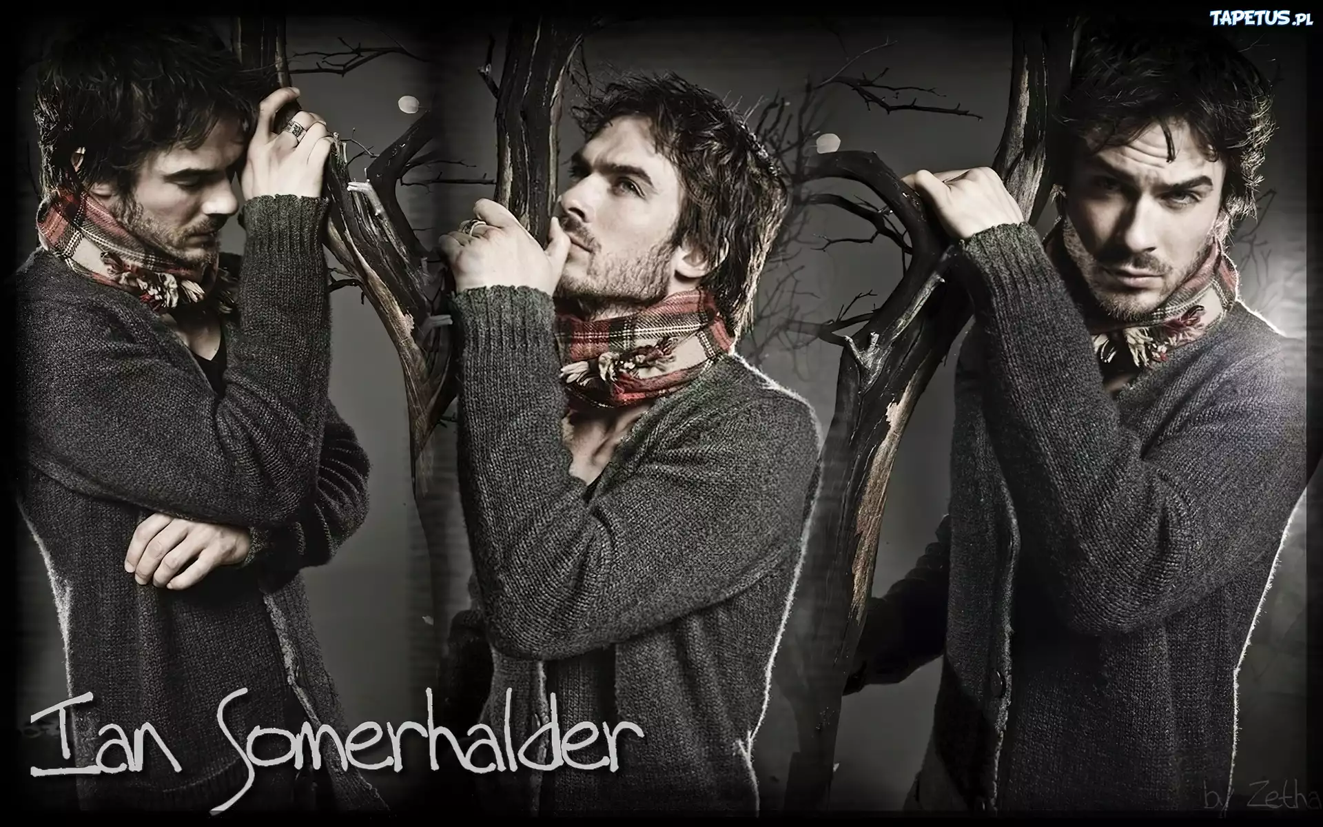 Ian Somerhalder