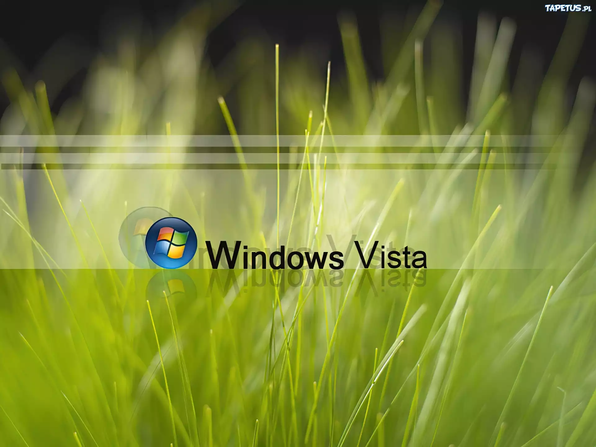 Logo, Windows, Vista, Zielona, Trawa