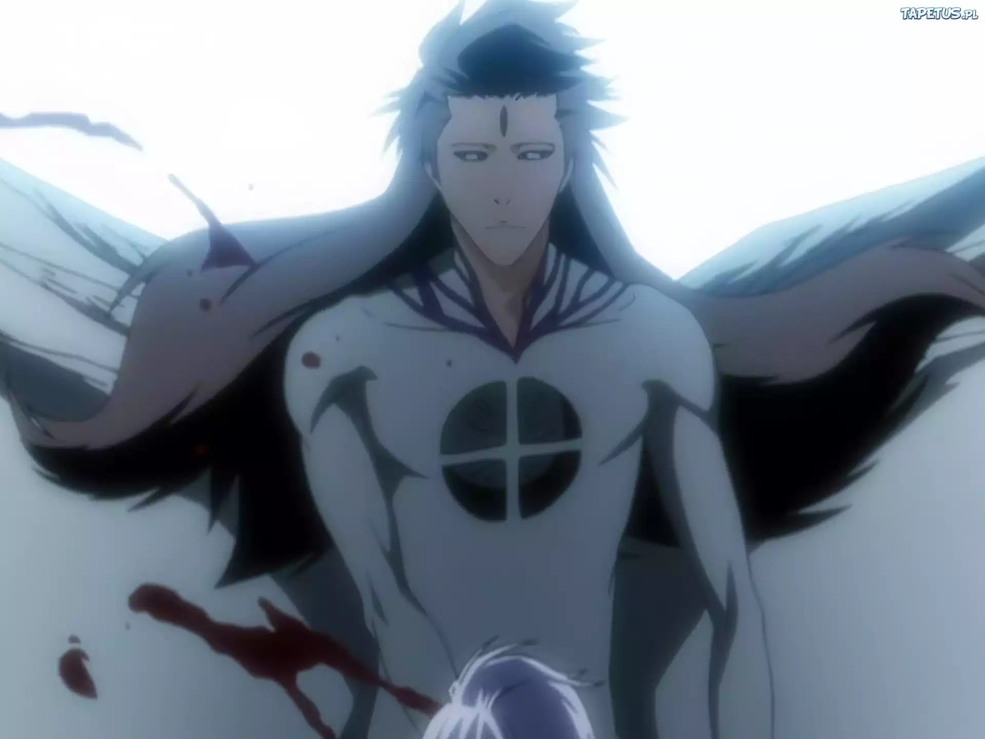 Aizen, Przemiana, Bleach