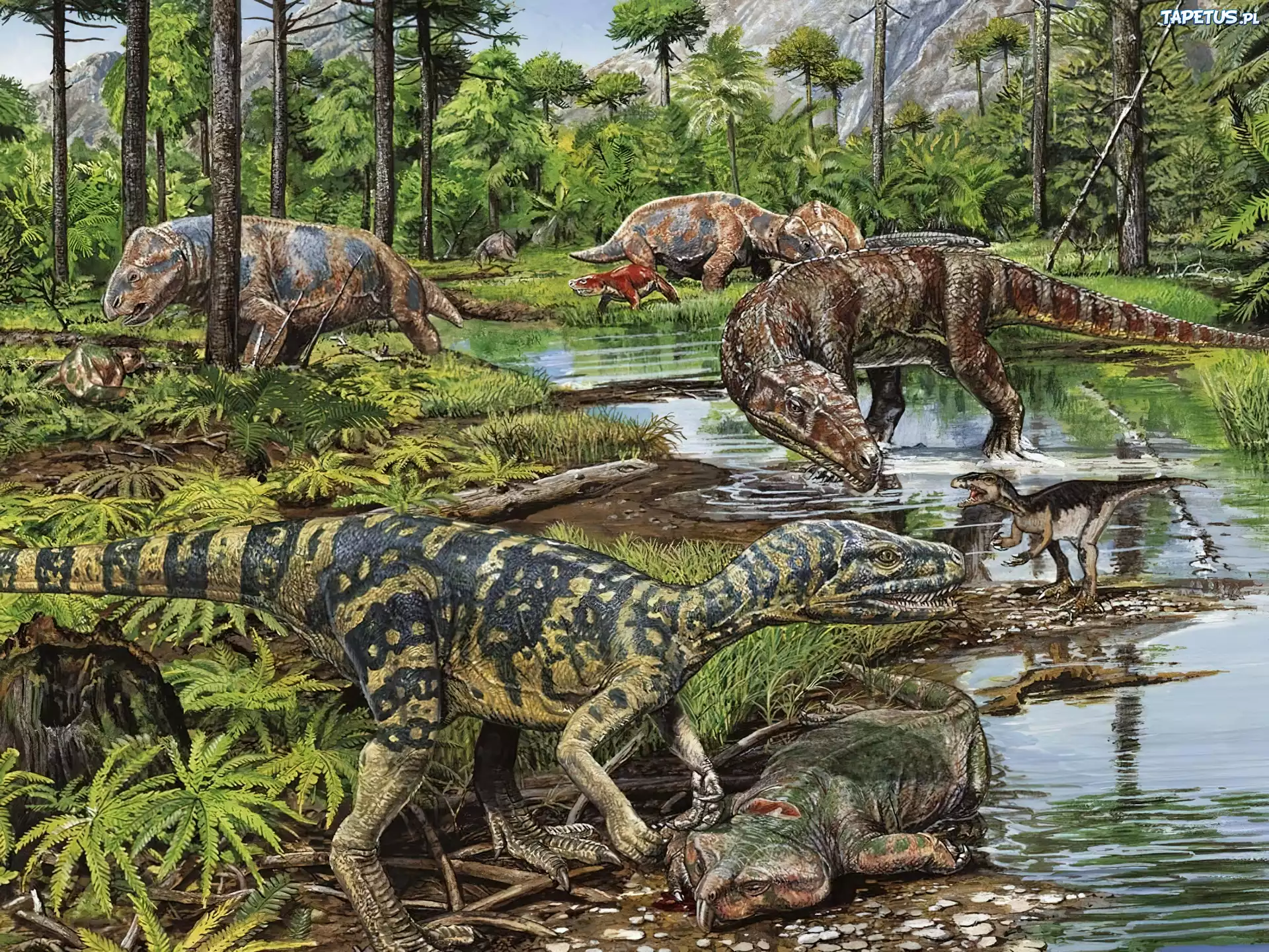 Dinozaury, Las, Strumyk