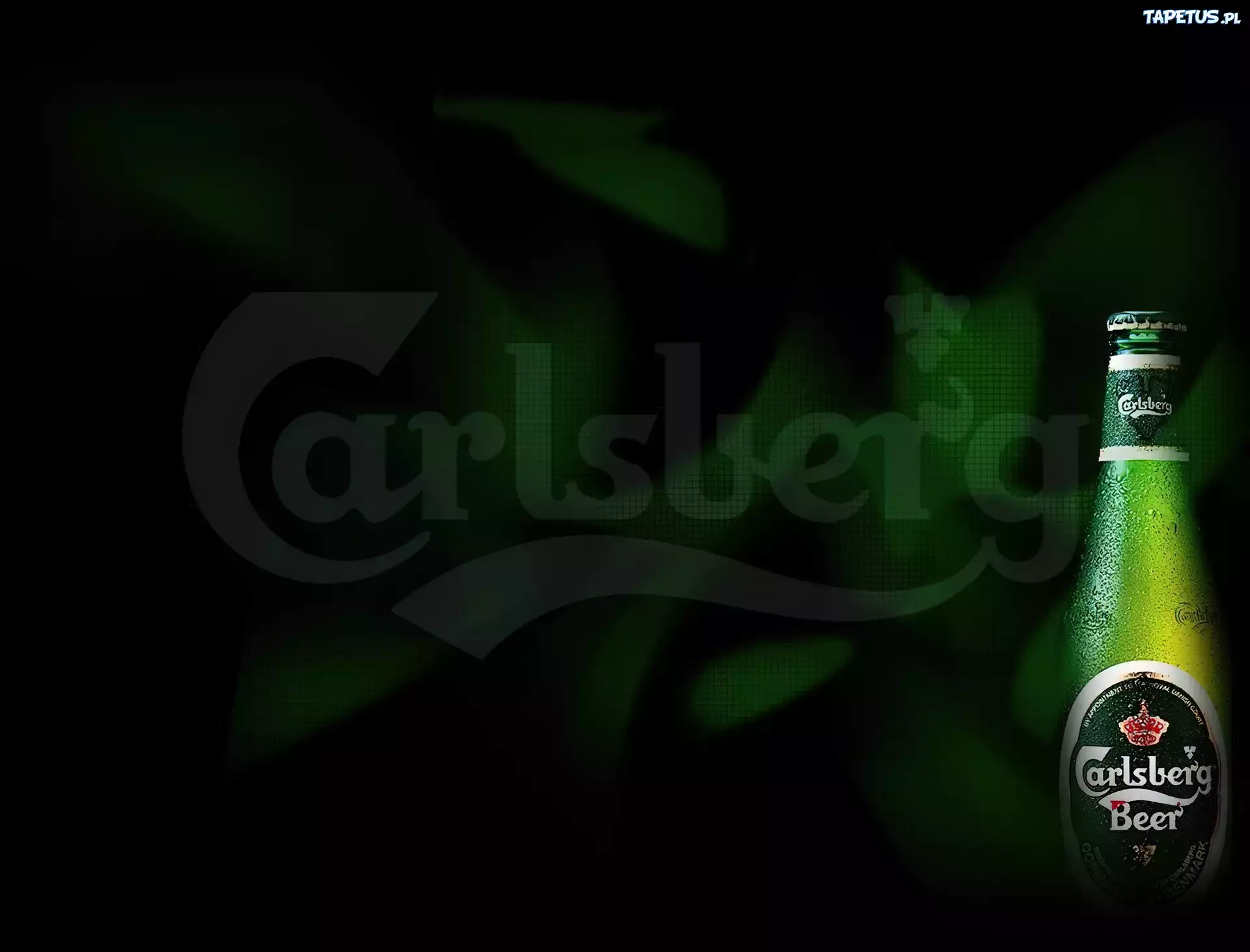 Butelka, Calsberg, Logo, Zielone, Ciemne, Tło