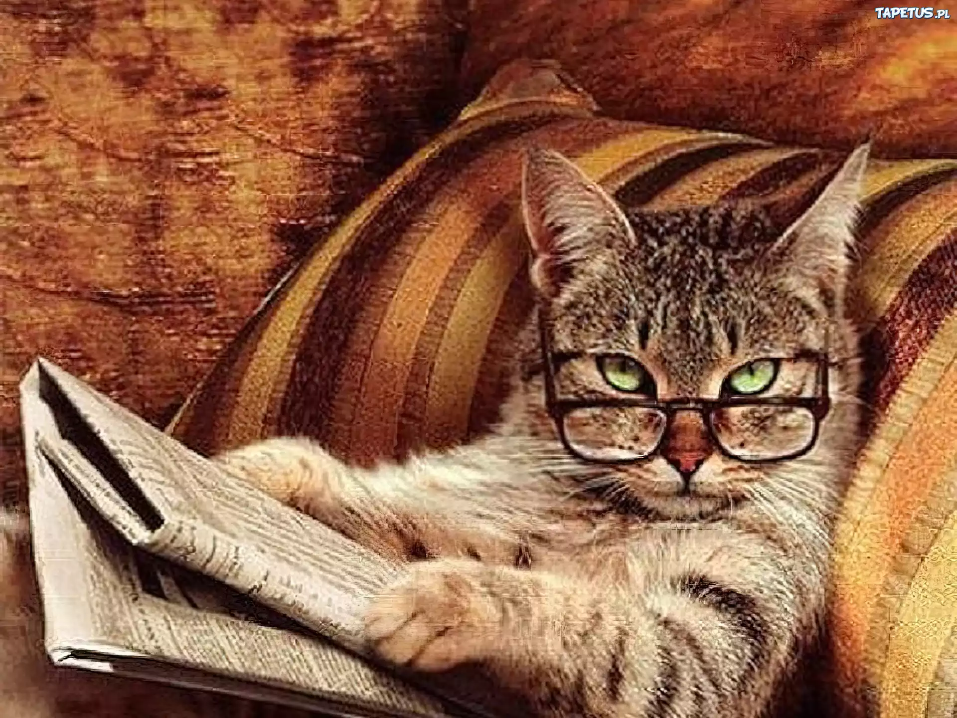 Kot, Gazeta, Okulary