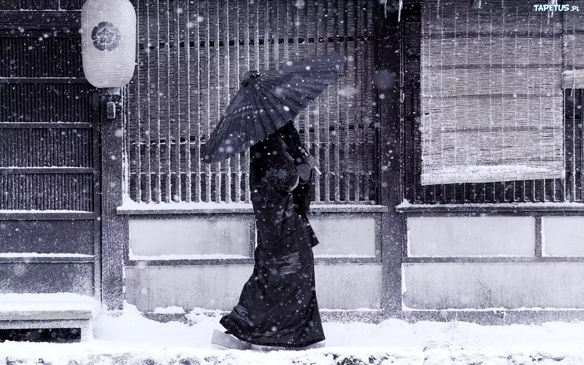 Japonka, Parasol, Śnieg