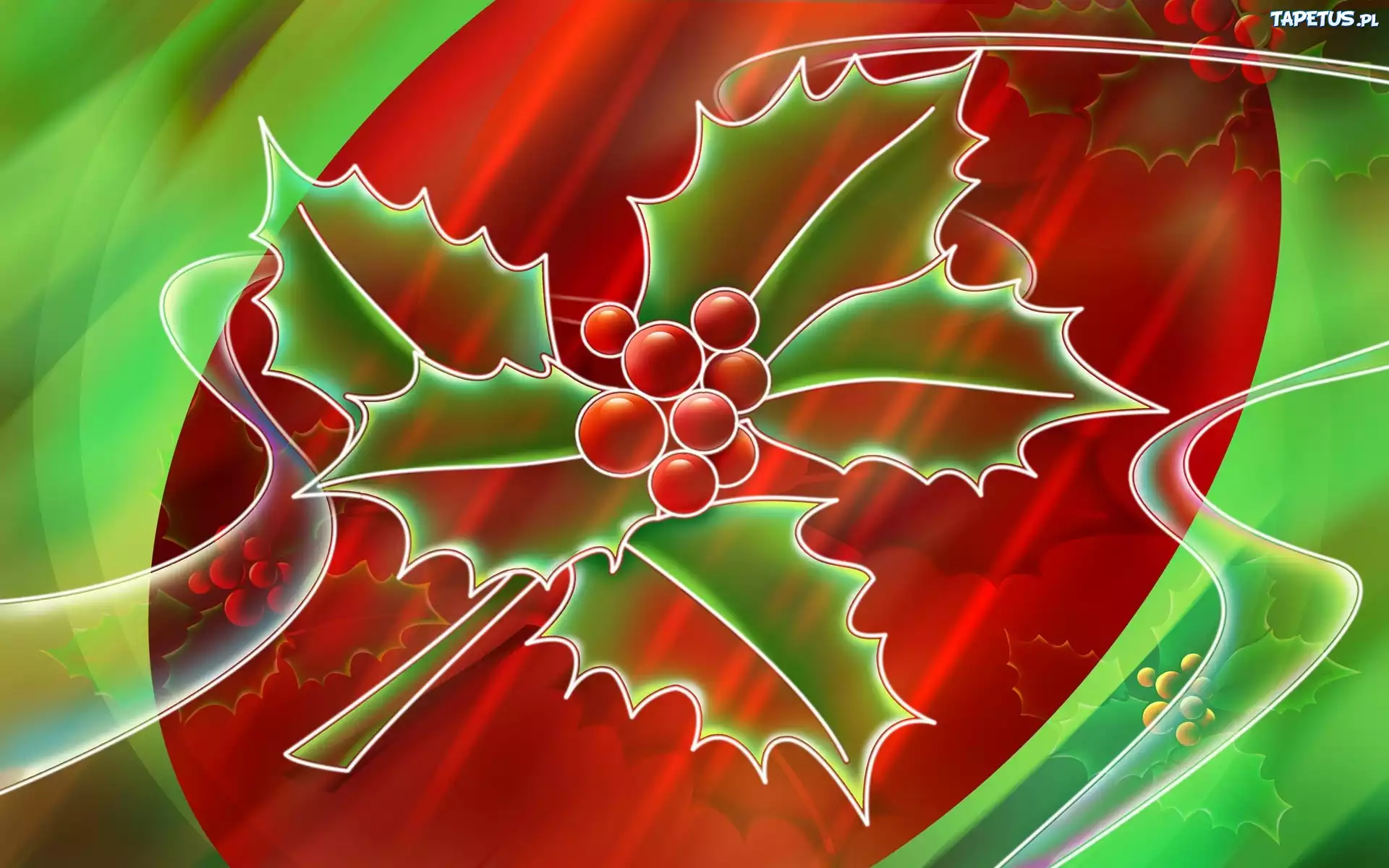 Ostrokrzew, 3D