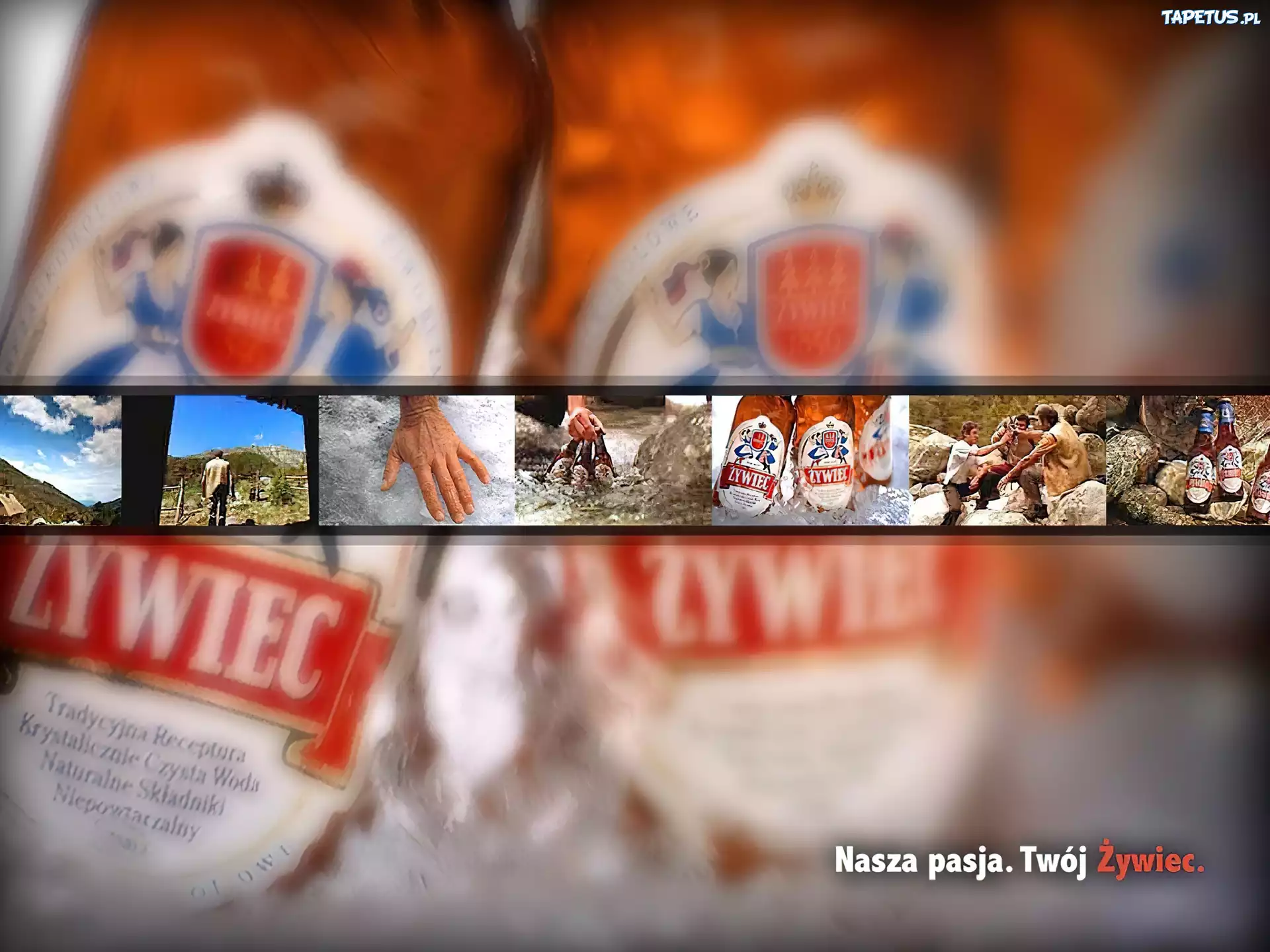 Piwo, Piwo Żywiec