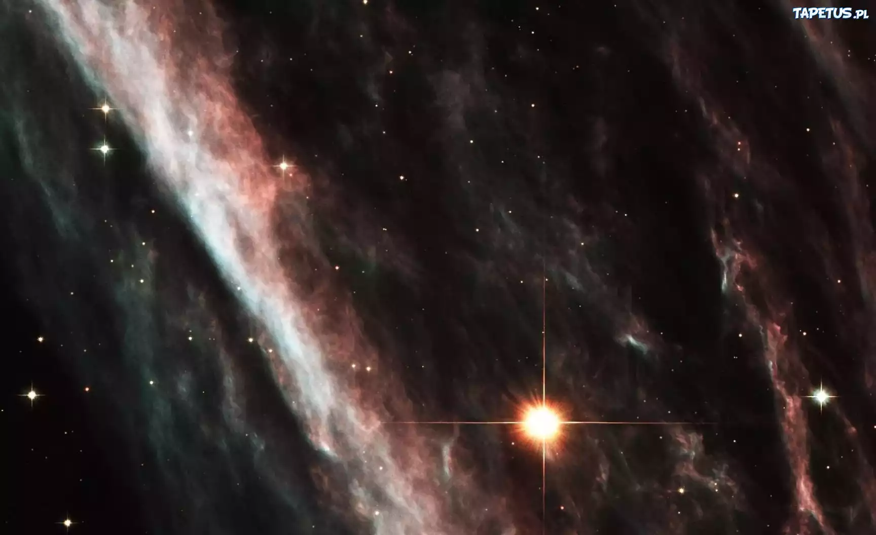 Kosmos, Gwiazdy