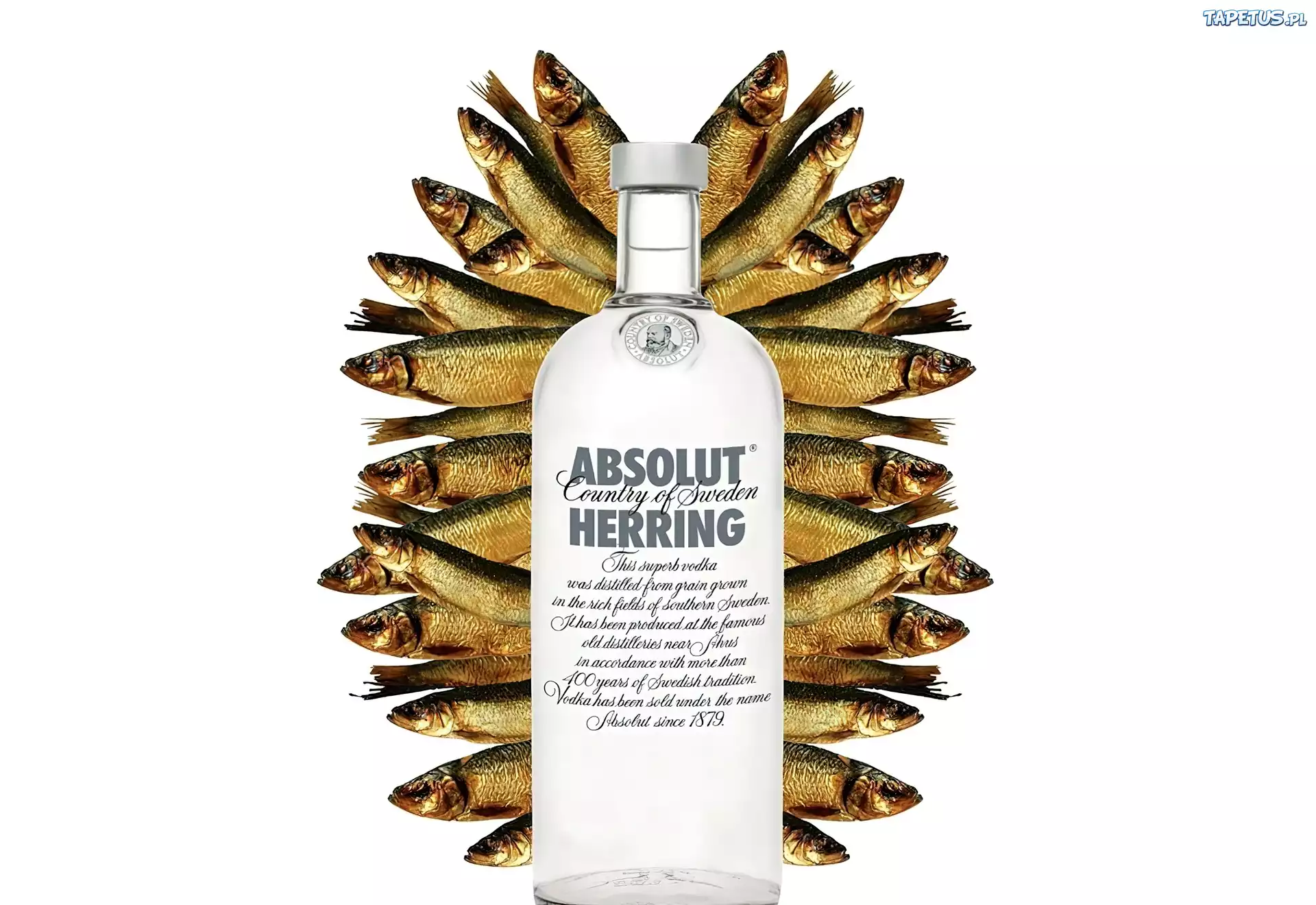 Absolut, Herring