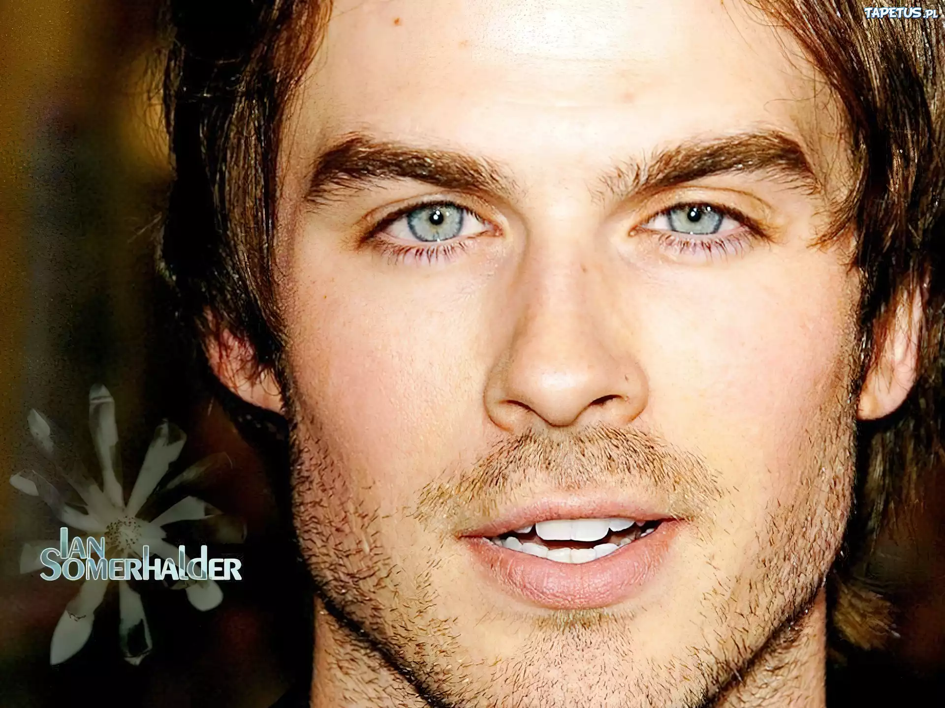 Ian Somerhalder, Pamiętniki, Wampirów