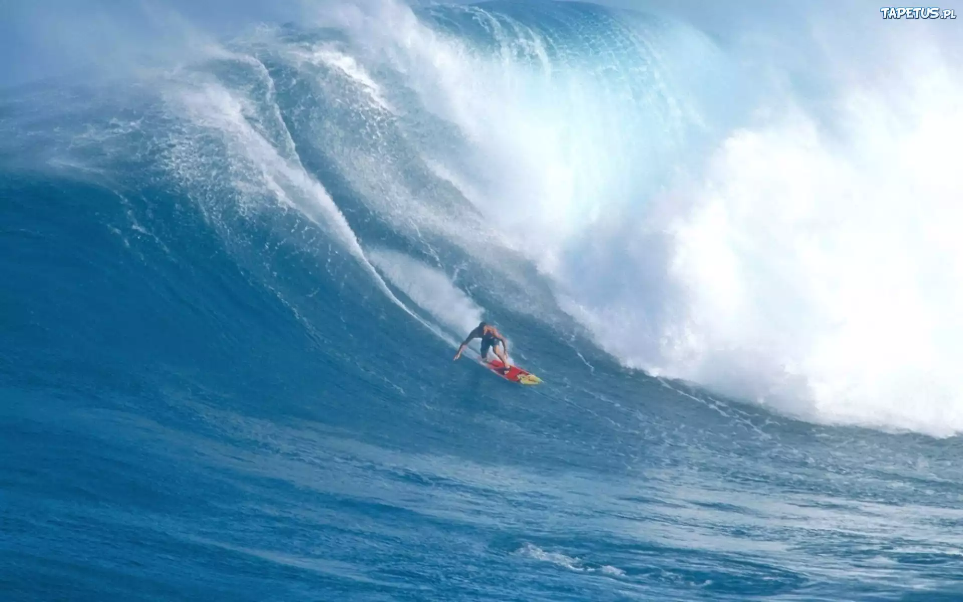 Surfing, Wielka, Fala