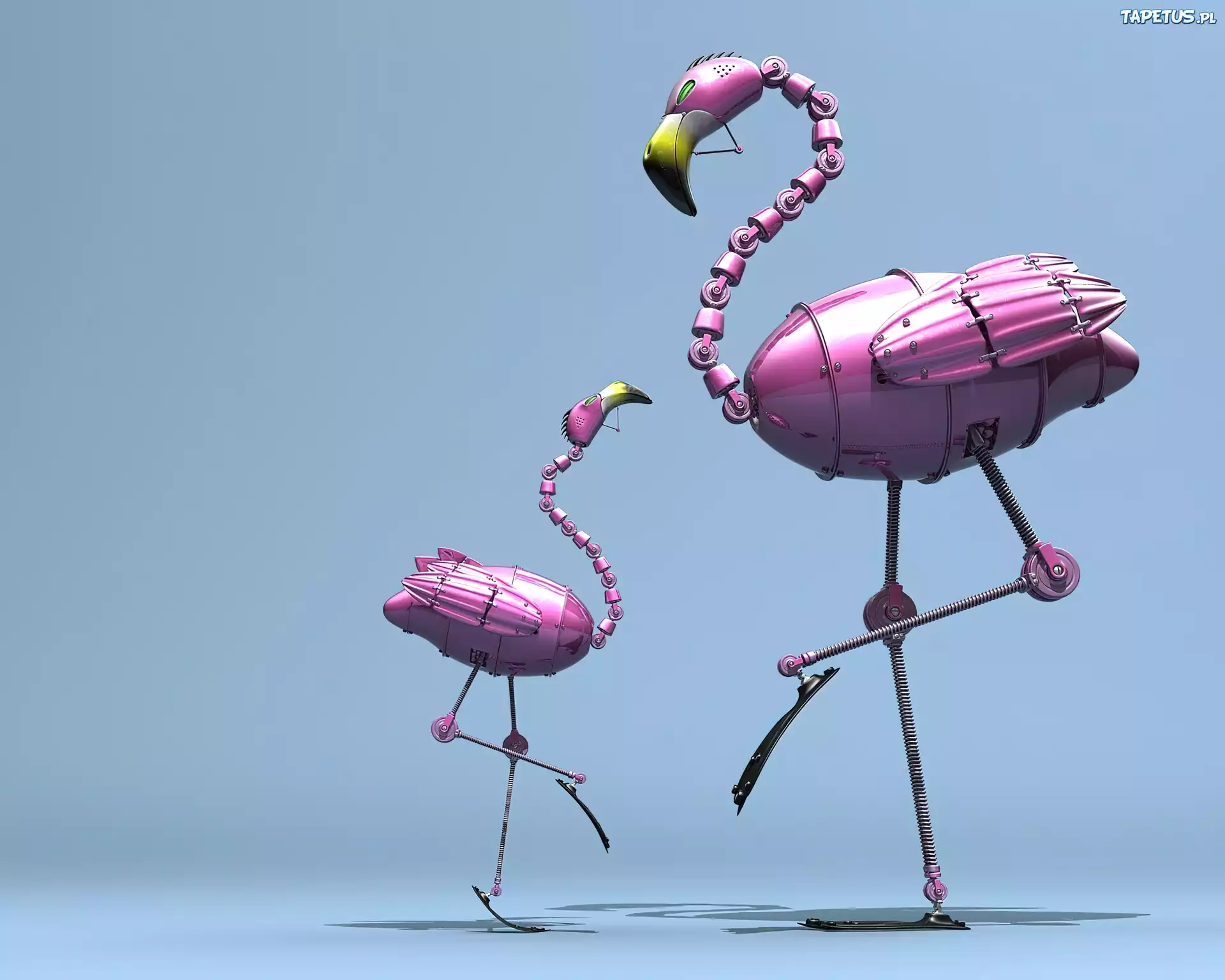 Mechaniczne, Flamingi