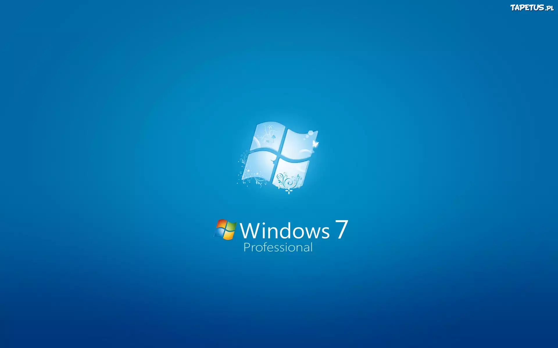 Windows 7, Professional