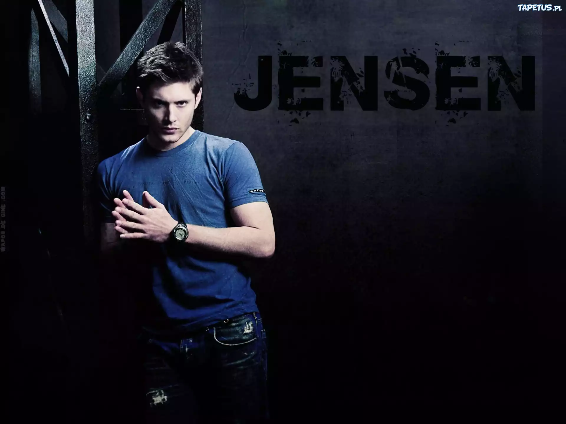Jensen Ackles, Aktor