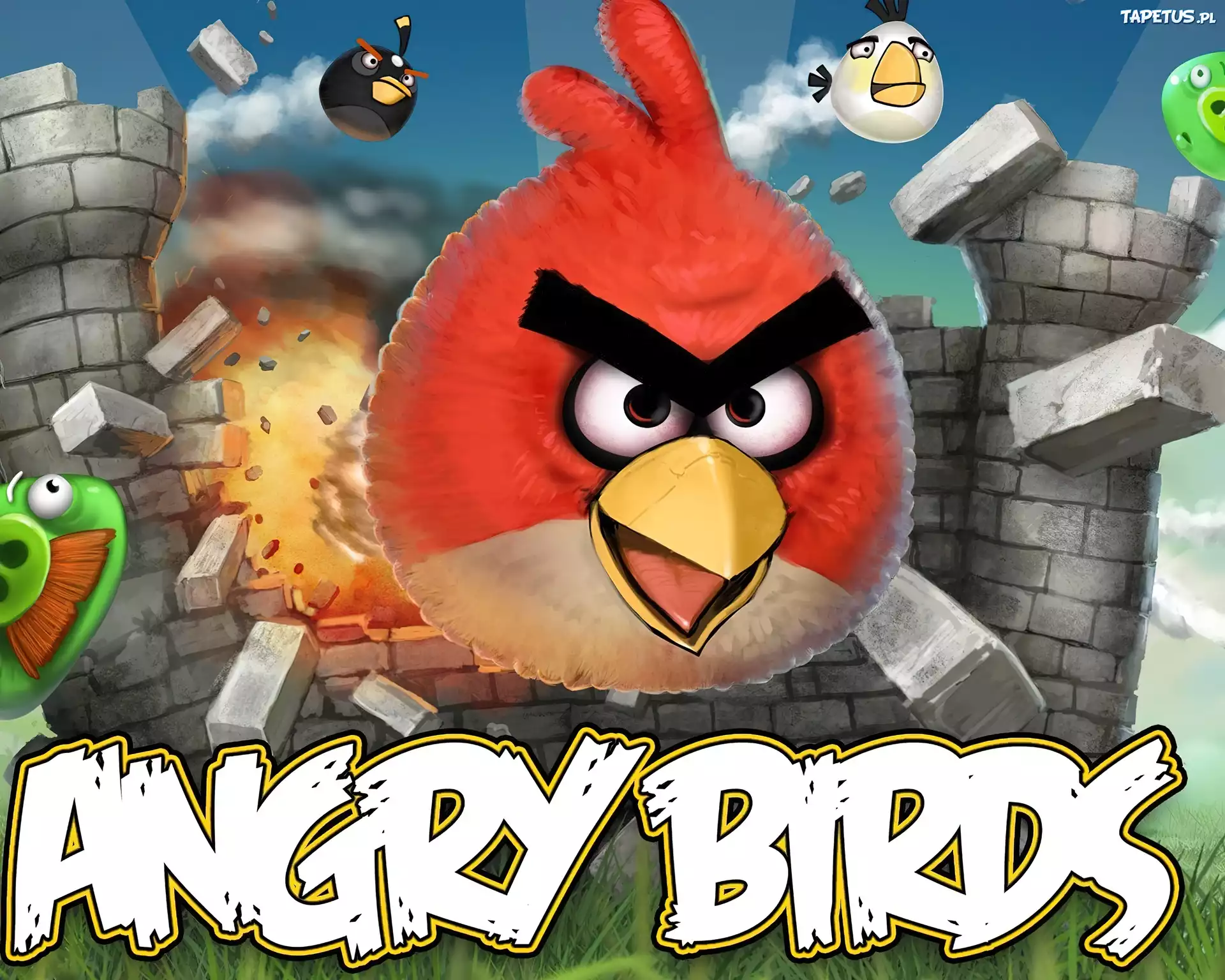 Gra, Angry Birds