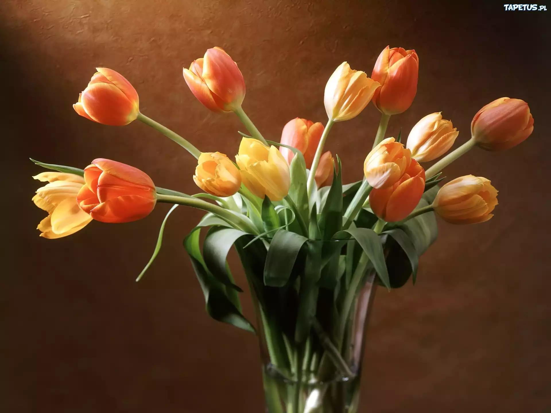 Tulipany, Szklany, Wazon