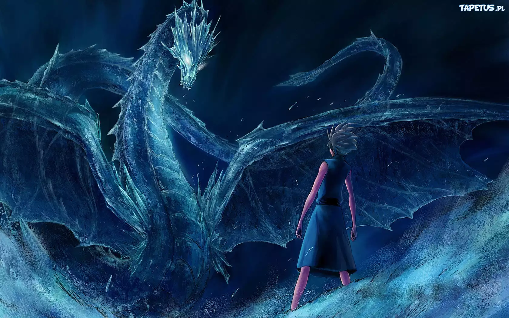 Hitsugaya, Zanpakto, Smok