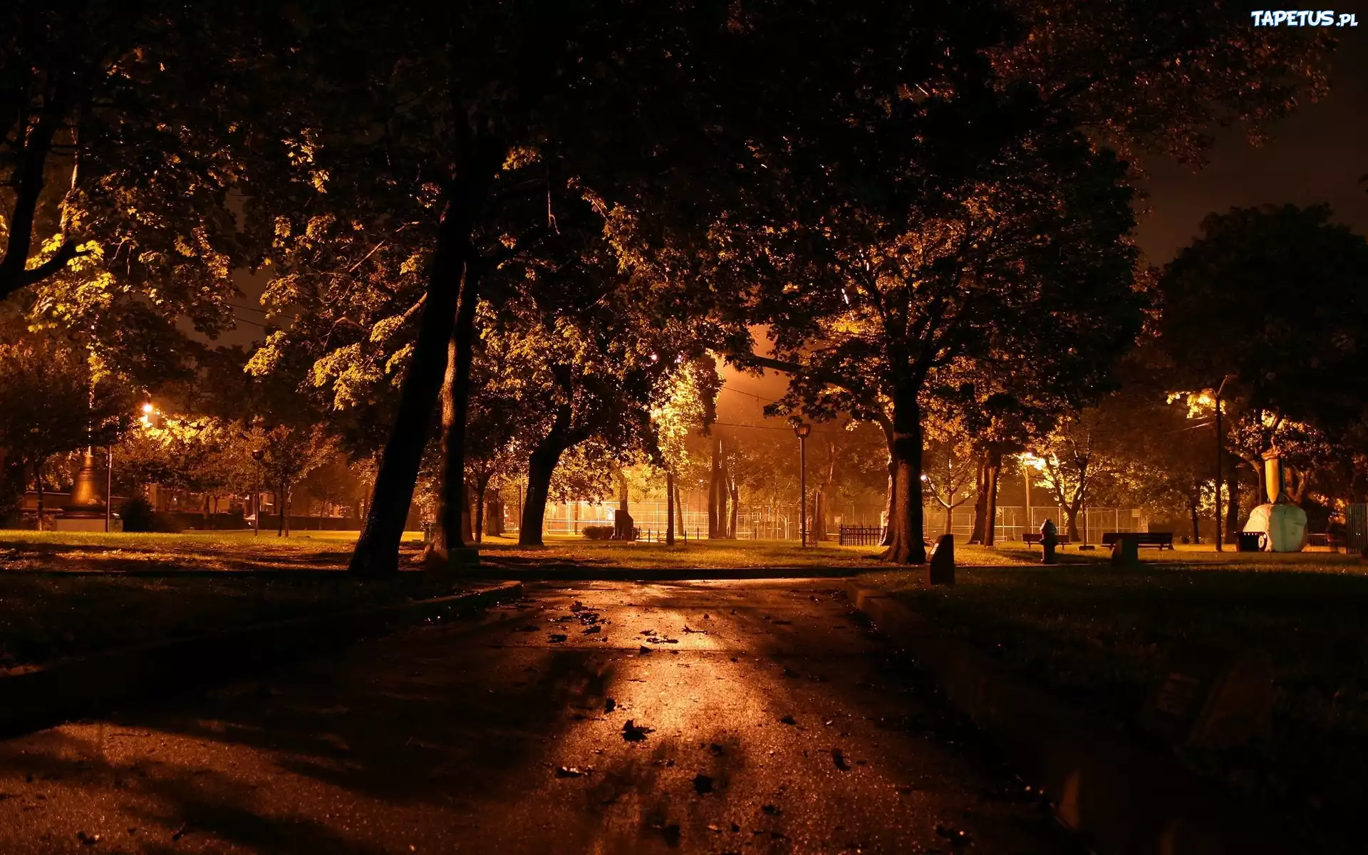 Park, Aleja, Noc, Światła