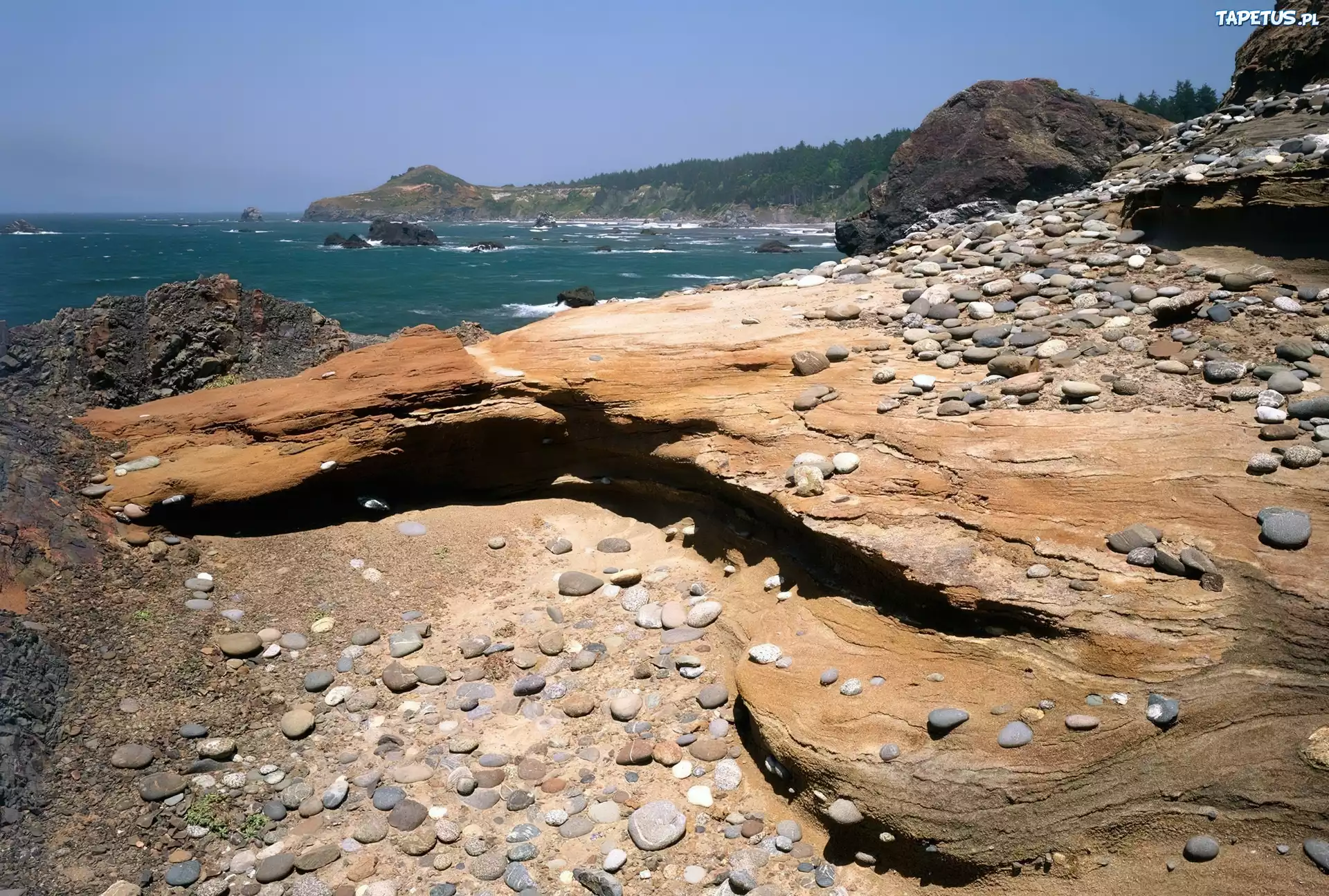 High coast. Дикие пляжи Японии. Южная Африка водоемы каменистые пляжи. Эрозия камня. Береговая линия участка из камней.