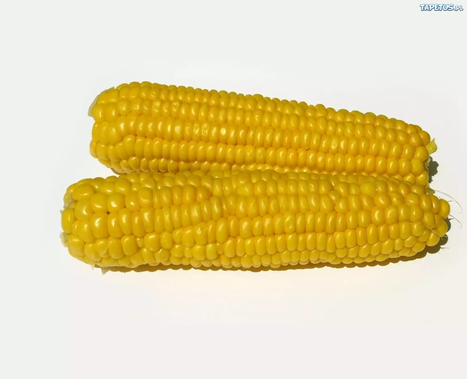 Dwie, Kolby, Kukurydzy