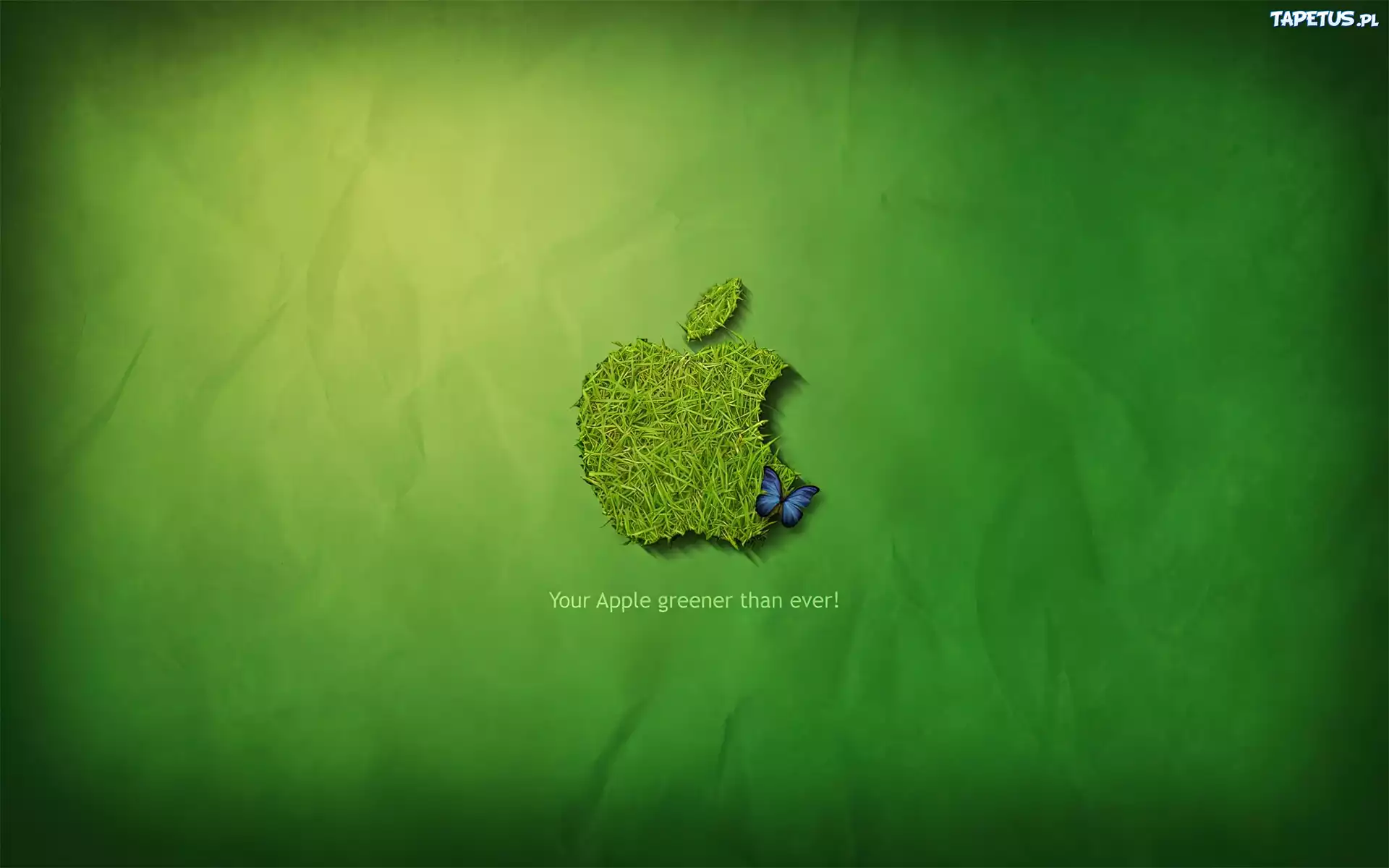 Ekologiczne, Logo, Apple