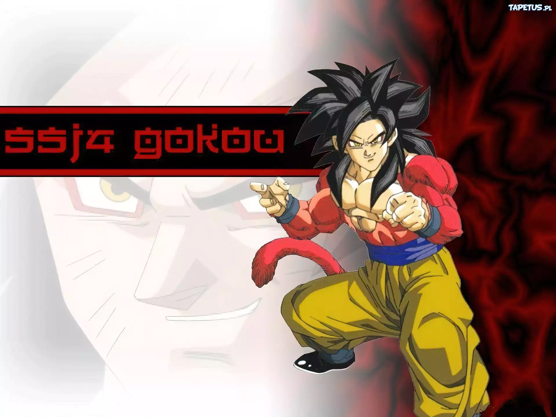Dragon Ball, SSJ4 Gokou