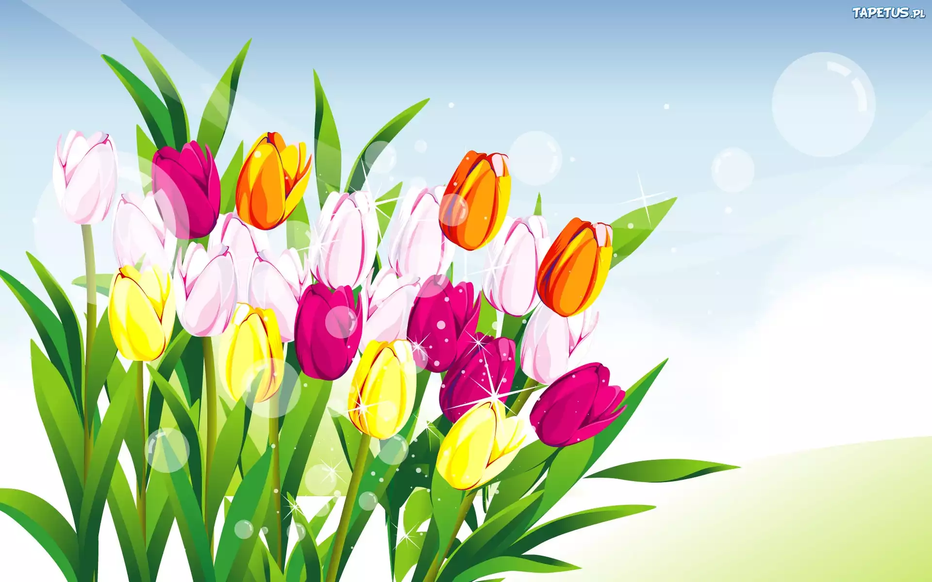 Kolorowe, Tulipany, Grafika