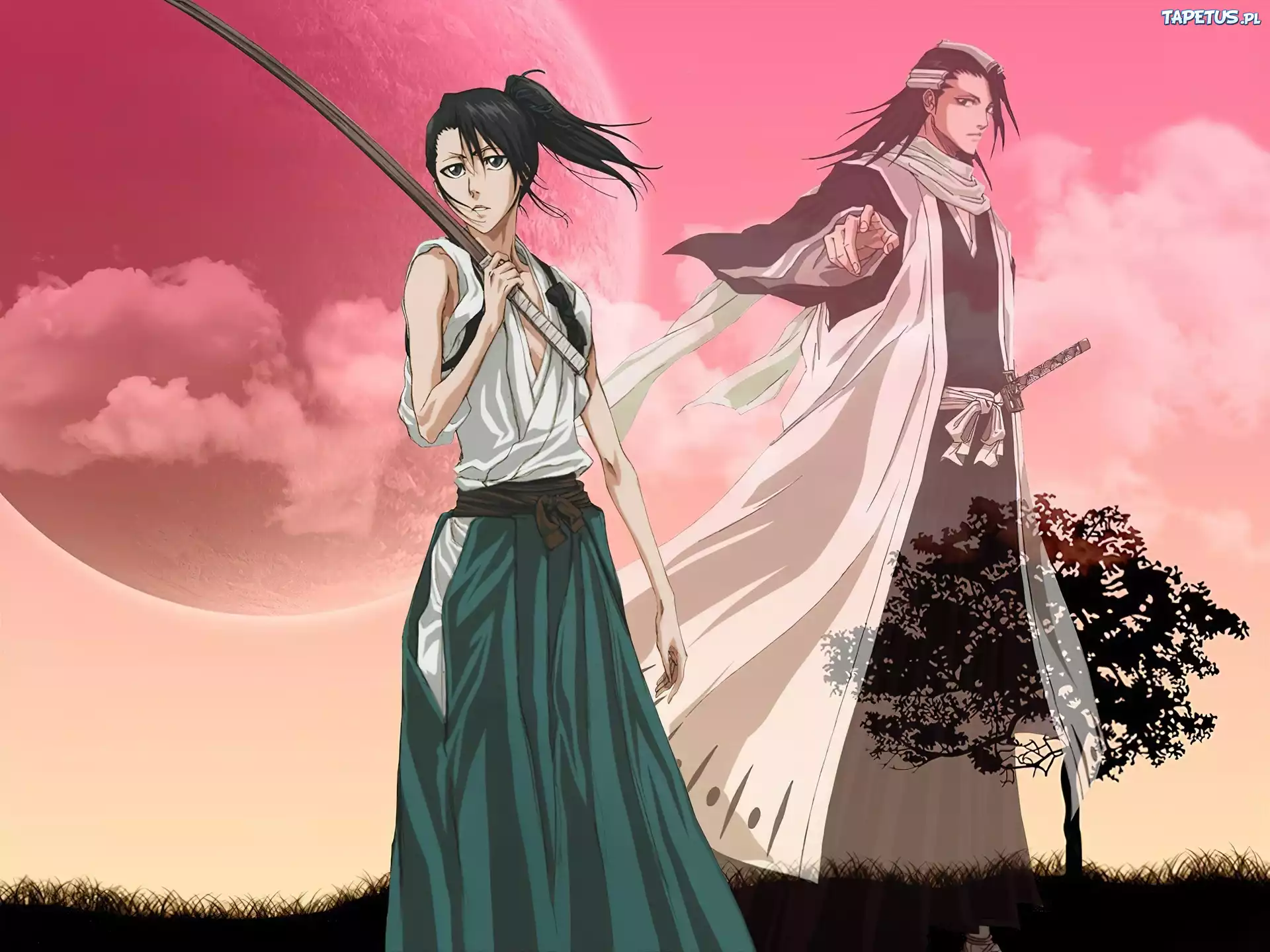Kuchiki, Byakuya, Kapitan