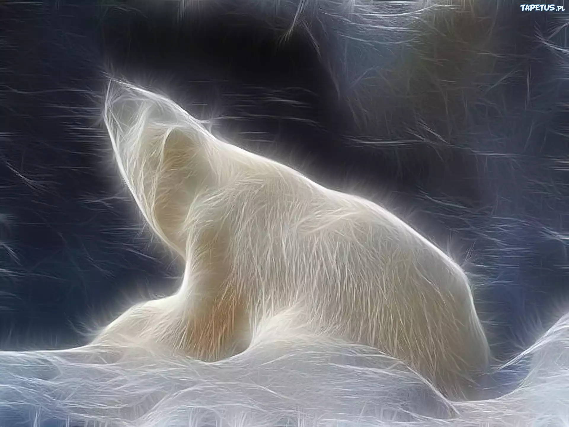 Niedźwiedź, Polarny, 3D