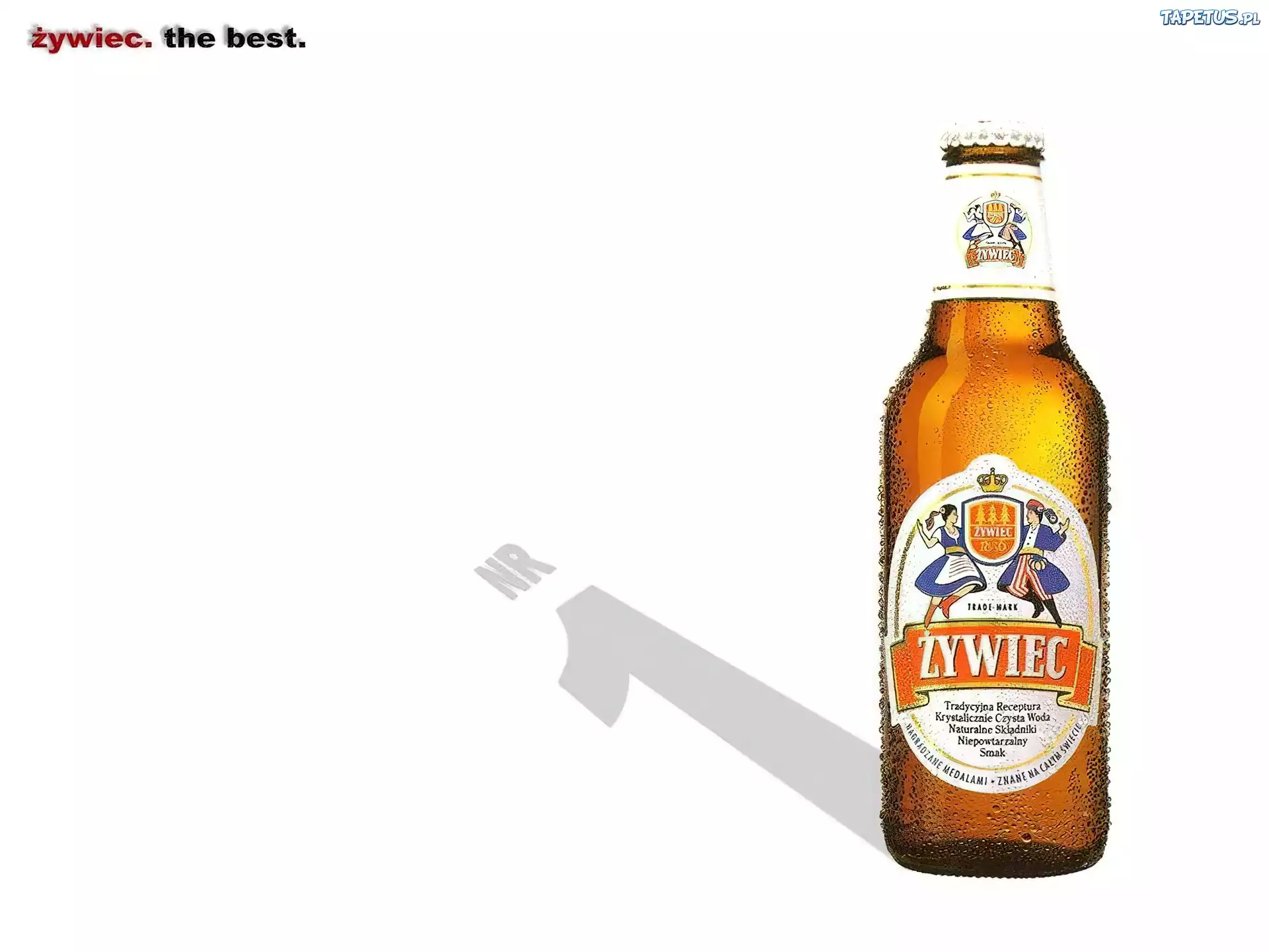 Piwo, Piwo Żywiec